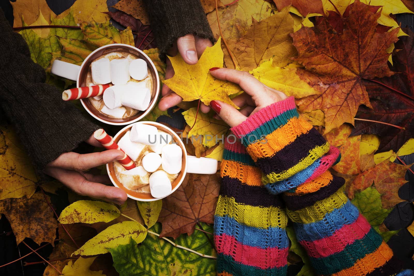 Man and woman drinking cocoa with marshmallows on a background of autumn leaves