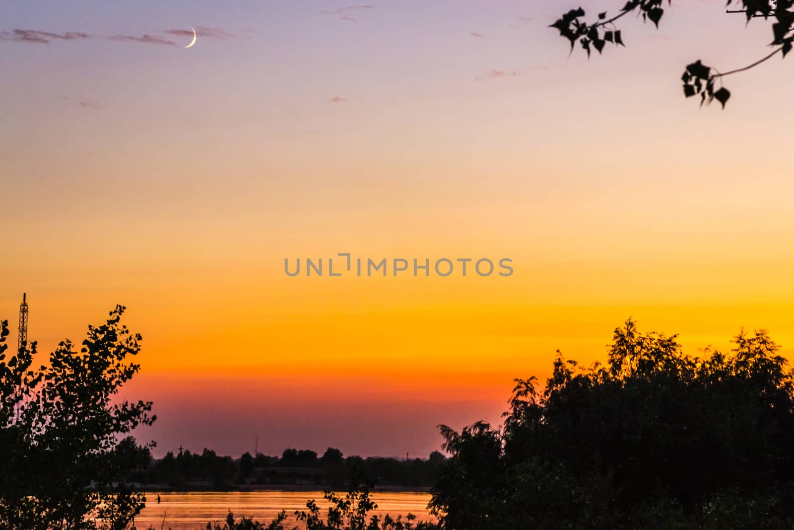 Summer sunset trees nature river by darksoul72