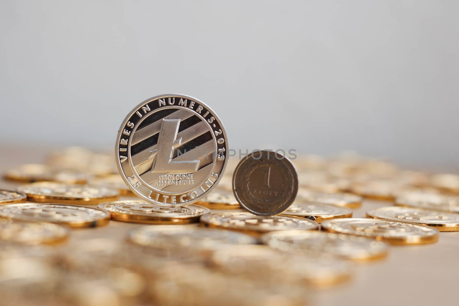 Crypto currency physical metal litecoin coin on the gold money. Digital currency concept.