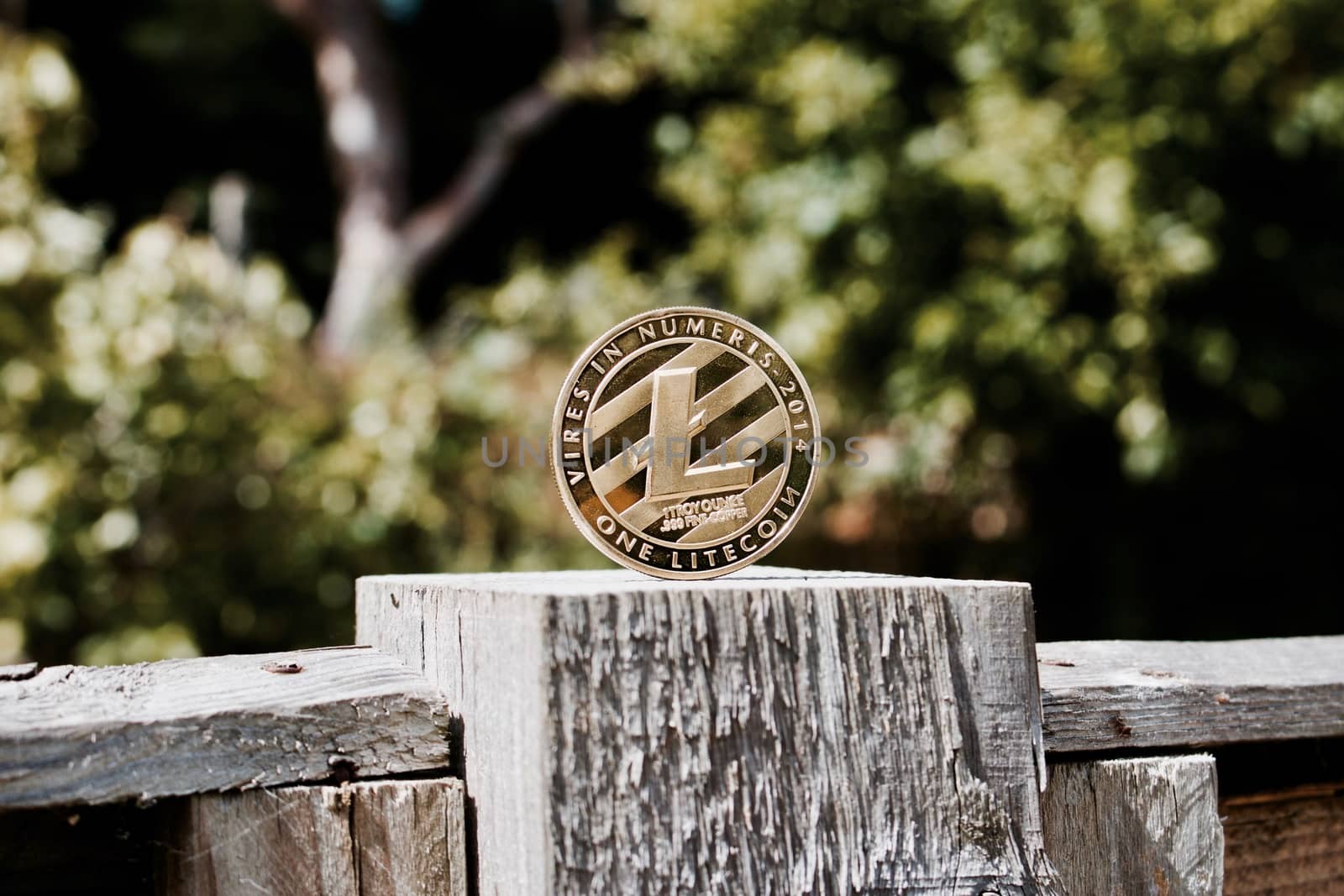 Cryptocurrency physical gold litecoin coin on the wooden fence in the garden.