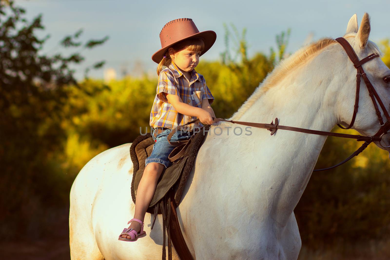 the girl in a hat sits on a white horse