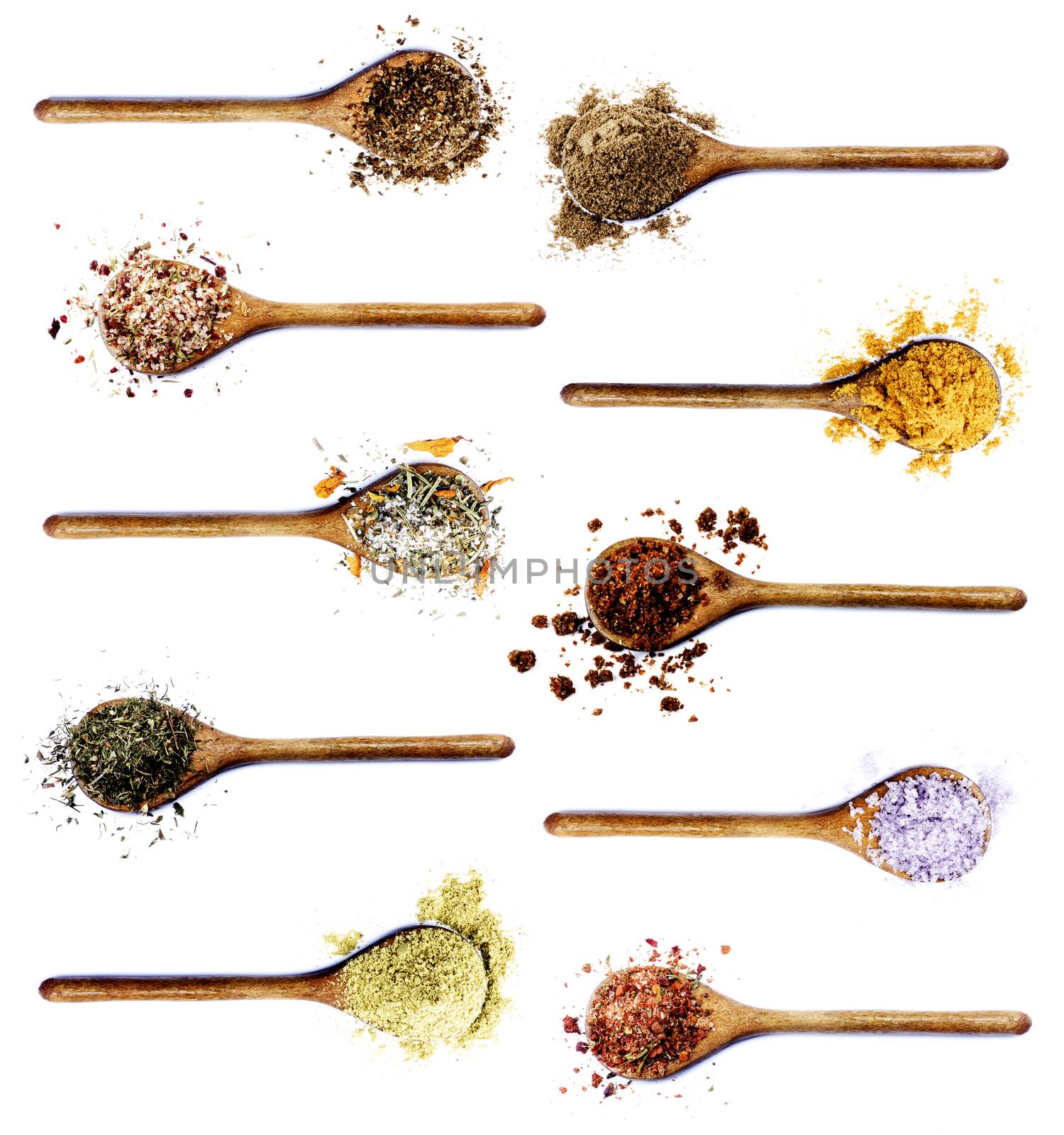 Collection of Various Spices in Wooden Spoons: Coriander,  Dried Paprika, Salt with Chili and Petals, Thyme, Cumin and Curry Powders, Dried Chili and Kosher Salt isolated on White background