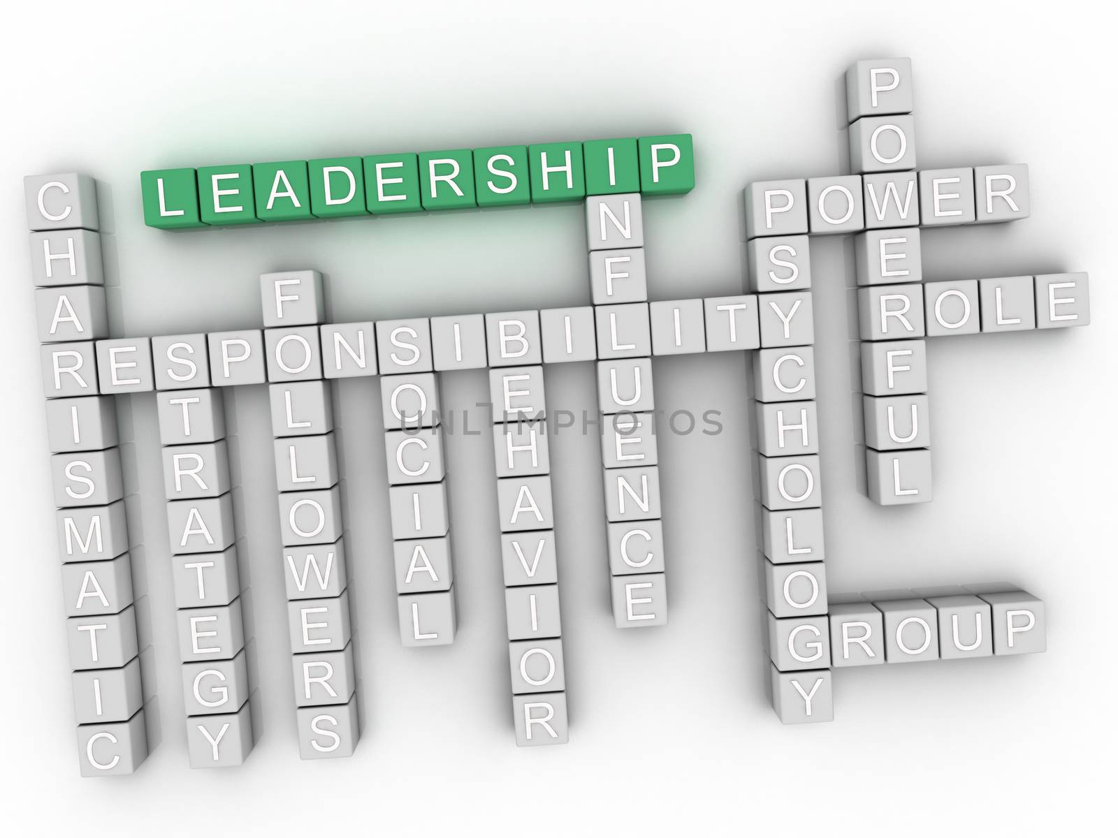 3d Leadership Concept word cloud by dacasdo