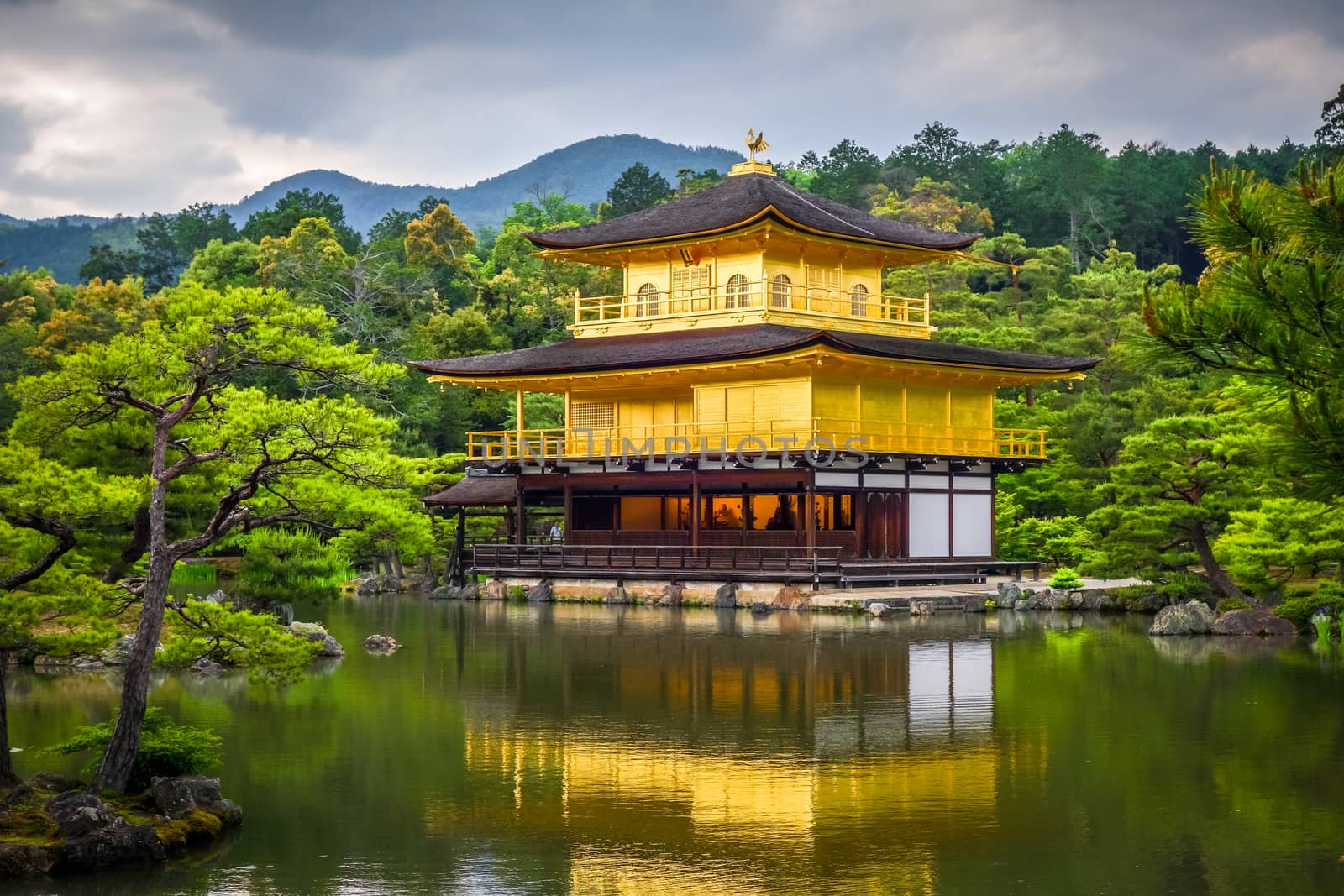 Kinkaku-ji golden temple, Kyoto, Japan by daboost