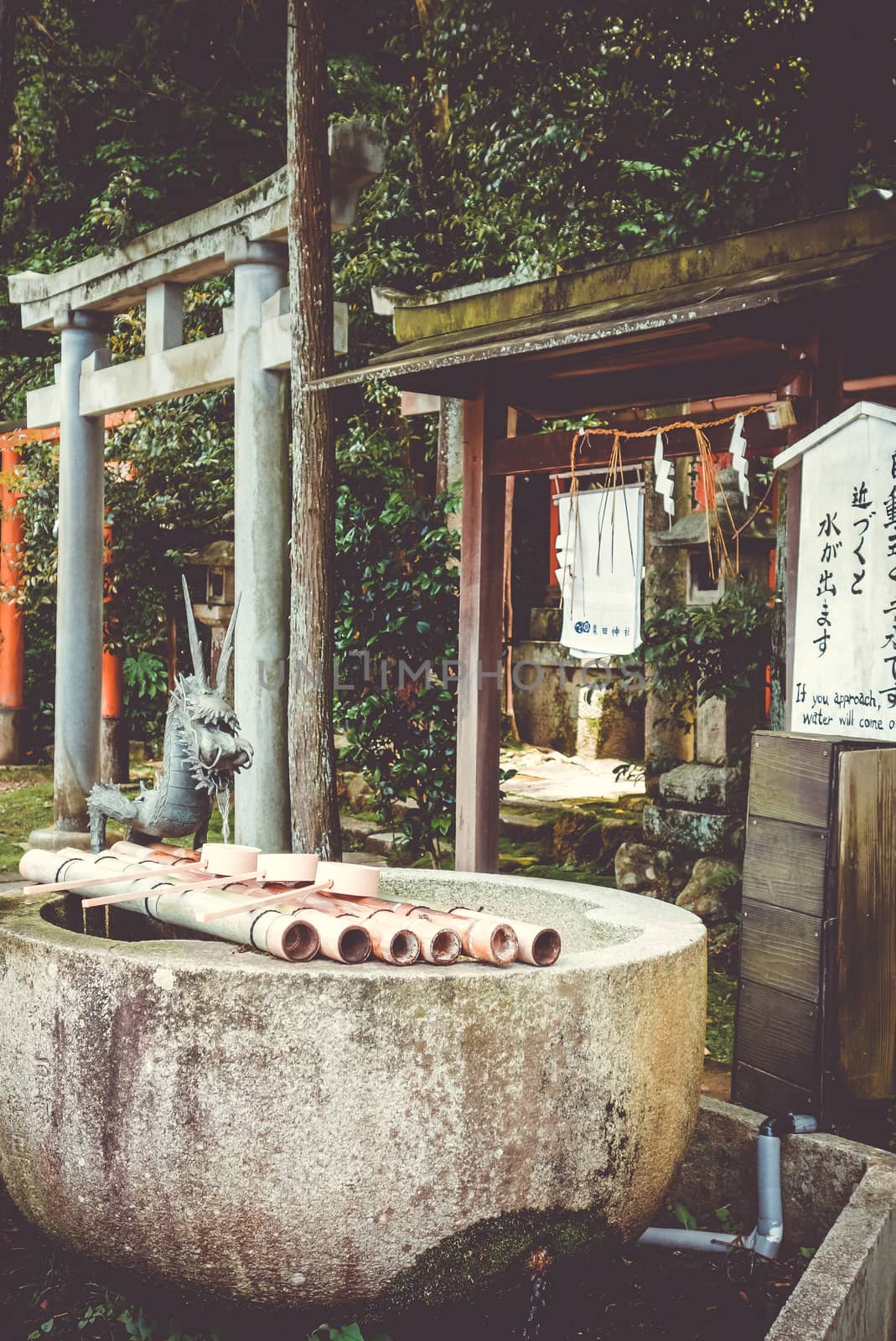 Purification fountain and torii at shoren-in temple, Kyoto, Japan