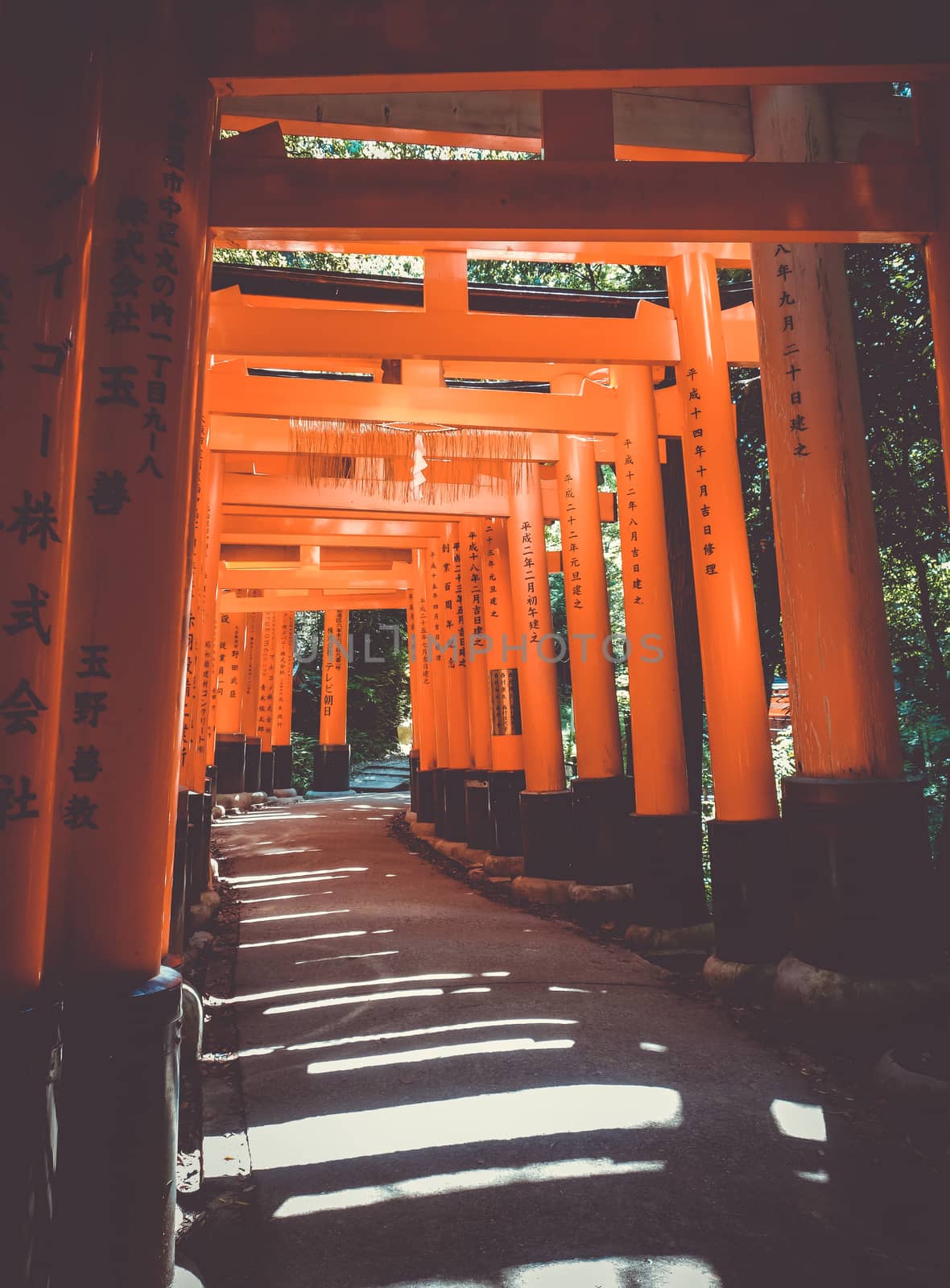 Fushimi Inari Taisha torii, Kyoto, Japan by daboost