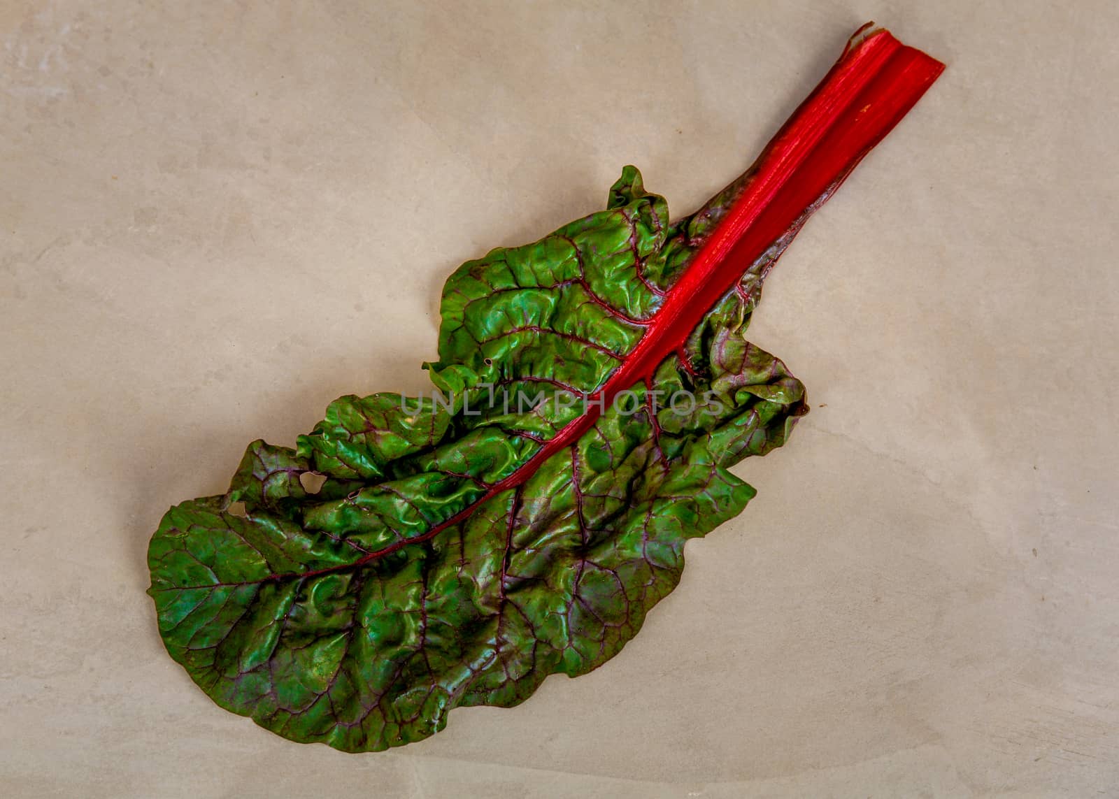 Chard leaf over the table