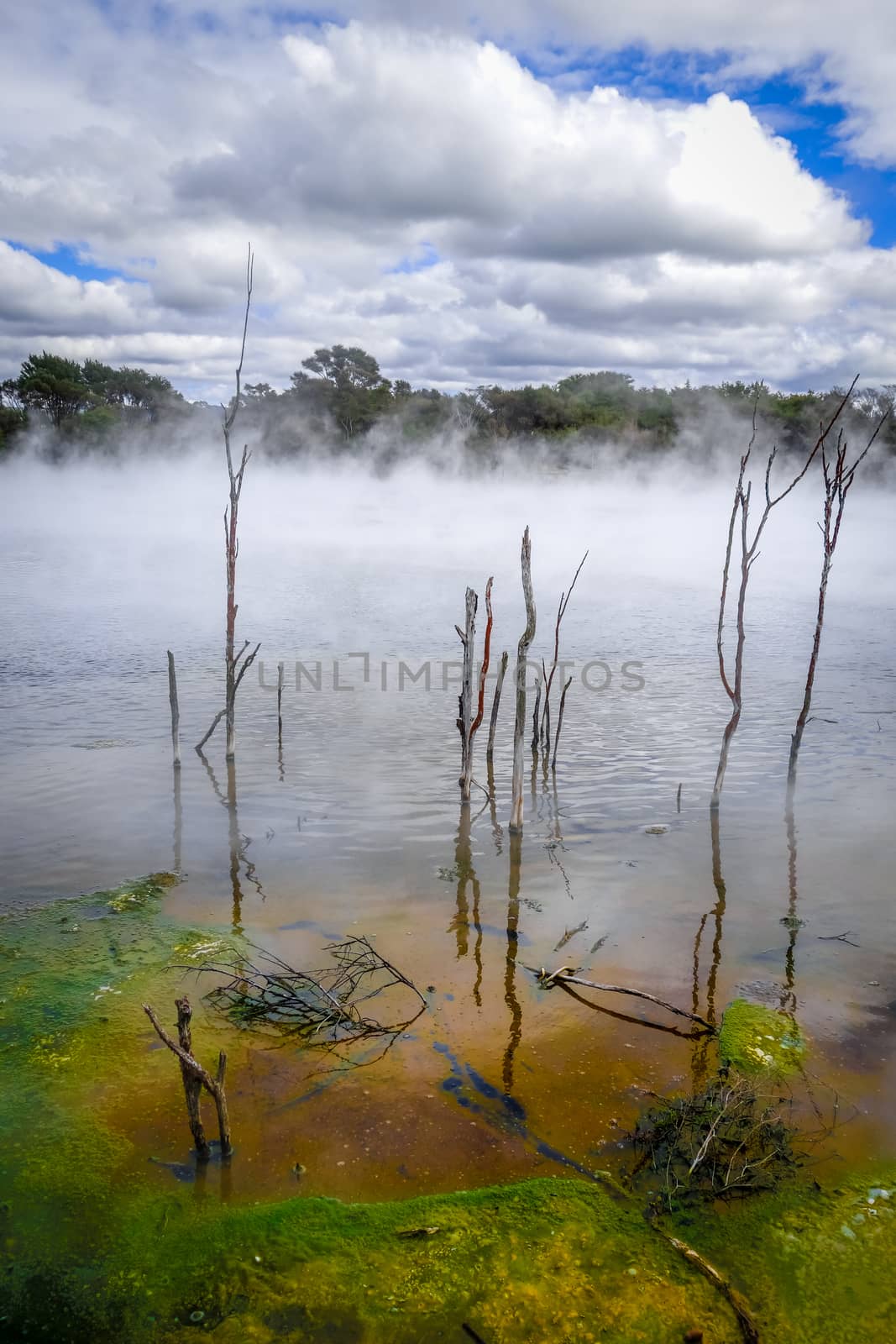 Hot springs lake in Rotorua, New Zealand by daboost