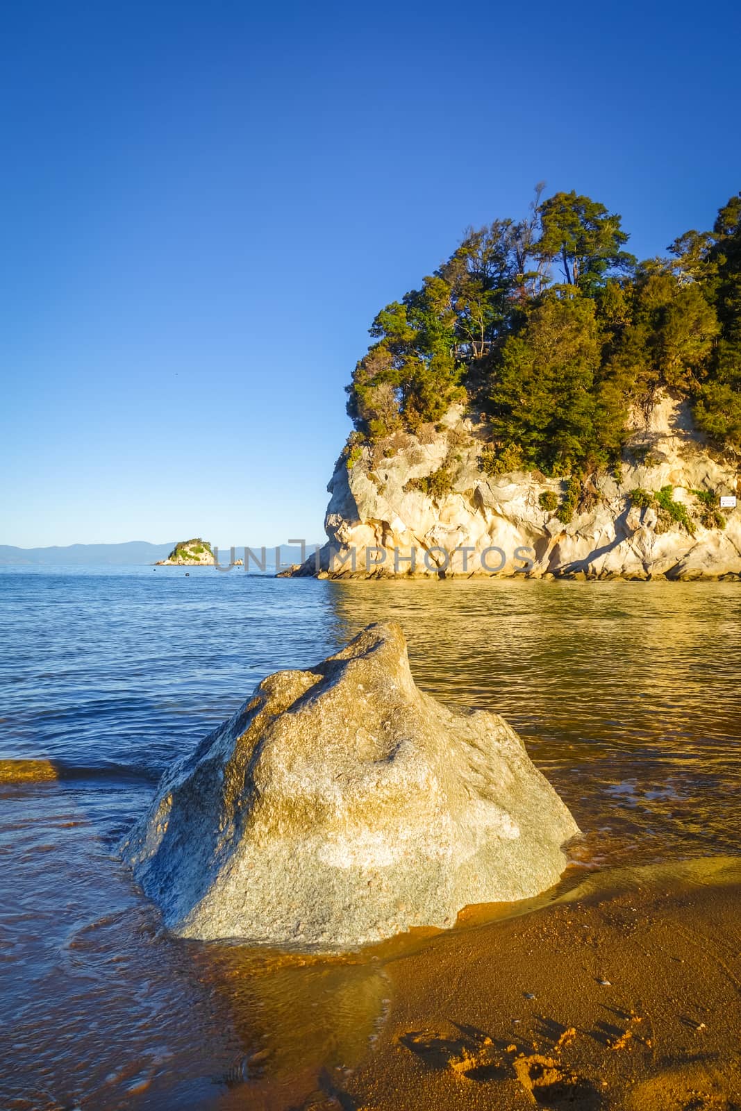 Creek and beach at sunset in Abel Tasman National Park. New Zealand