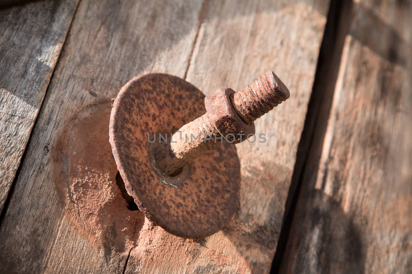 The screw nut is rust on old wood floor.