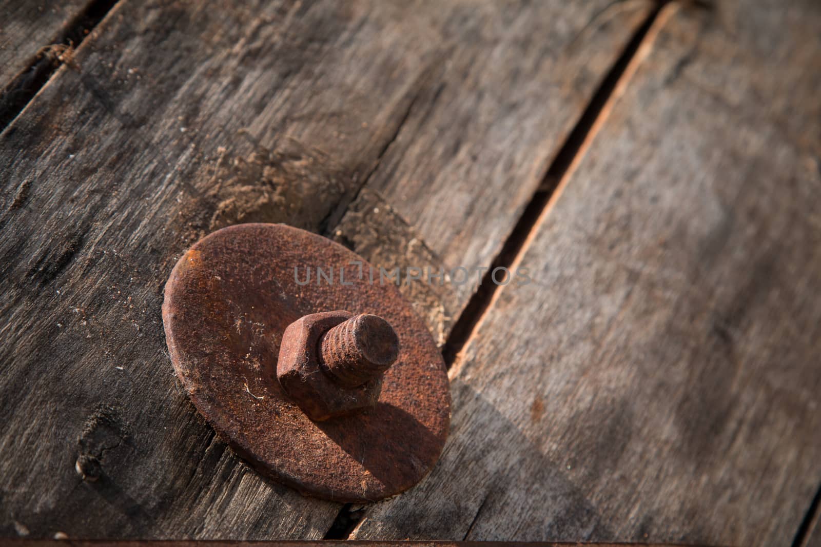 The screw nut is rust on old wood floor. by N_u_T