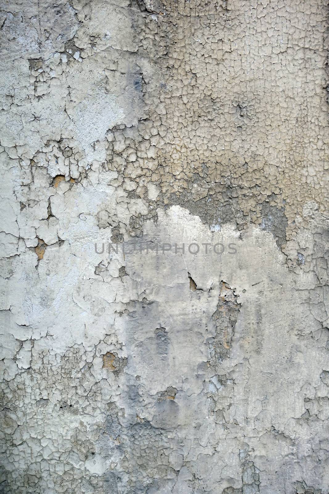 Concrete wall detail texture background by daboost