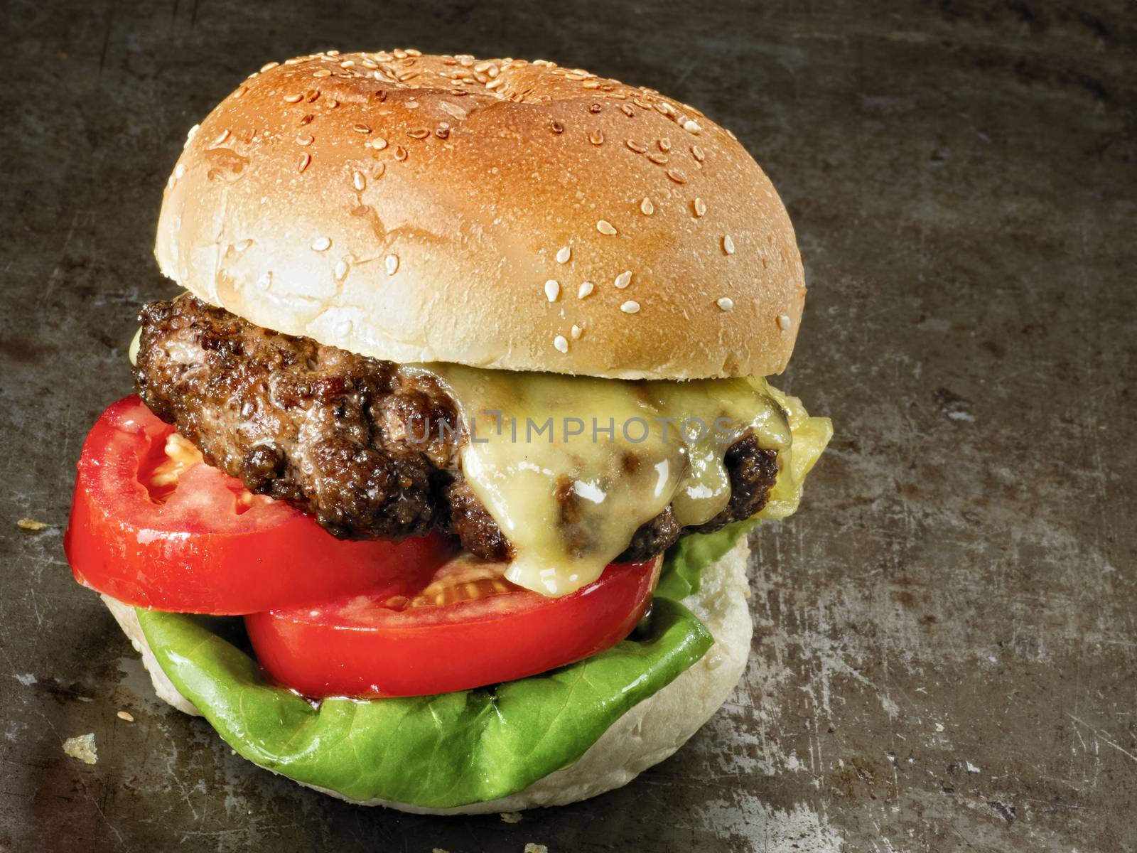 rustic american hamburger by zkruger
