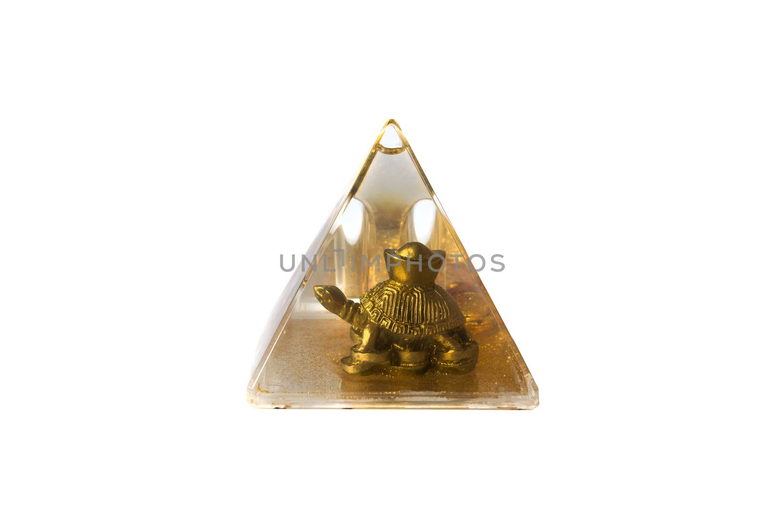 Golden turtle pyramid water isolated white background