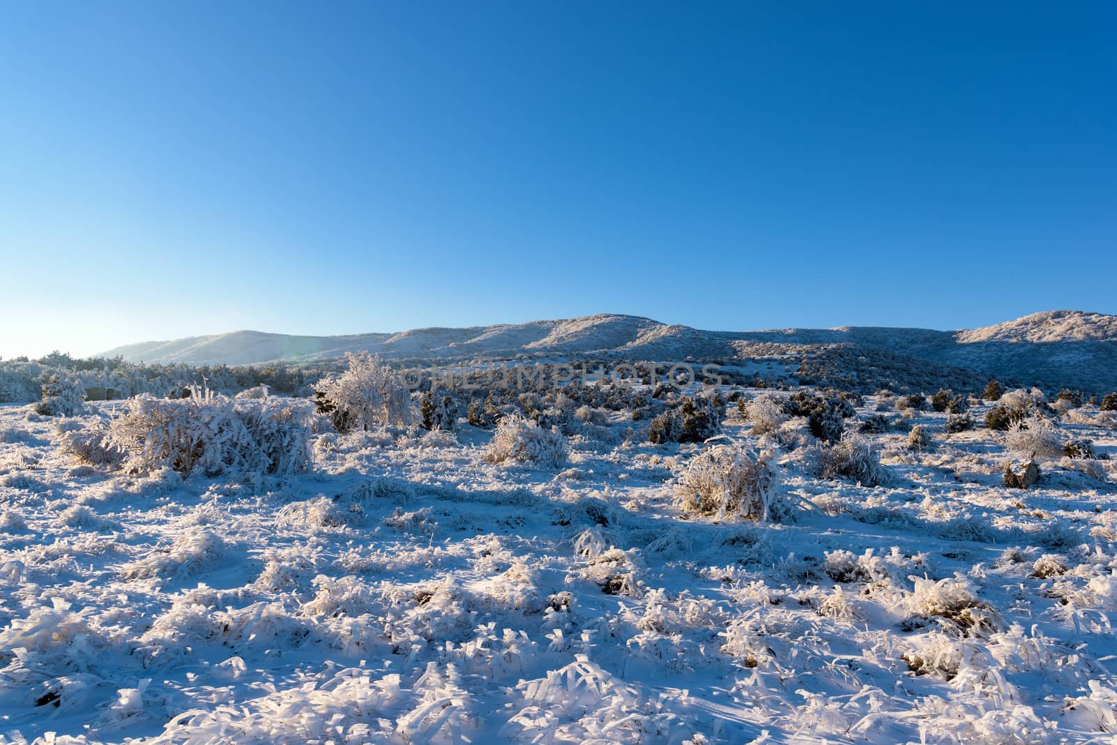 Winter blue sky landscape field with Agarmysh mountain and frozen bushes