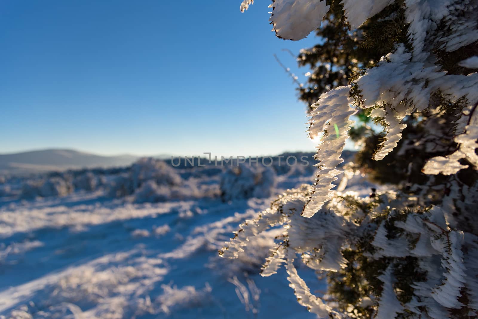 Beautiful sunny evening in Russia, Stary Krym.