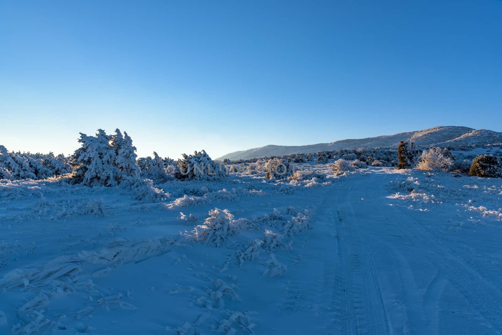 Winter blue sky sunset in forest under mountain