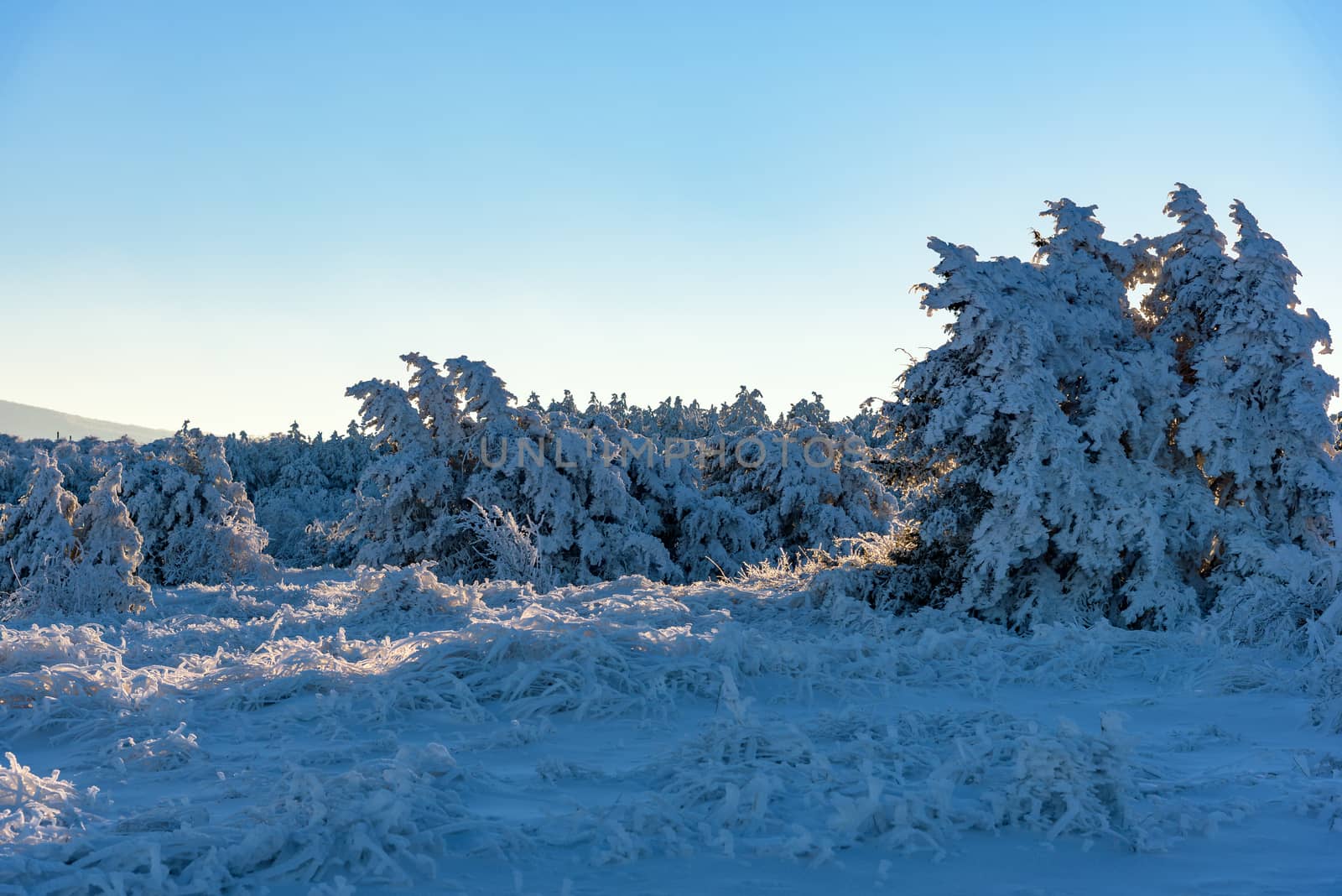 Beautiful sunny evening in Russia, Stary Krym.