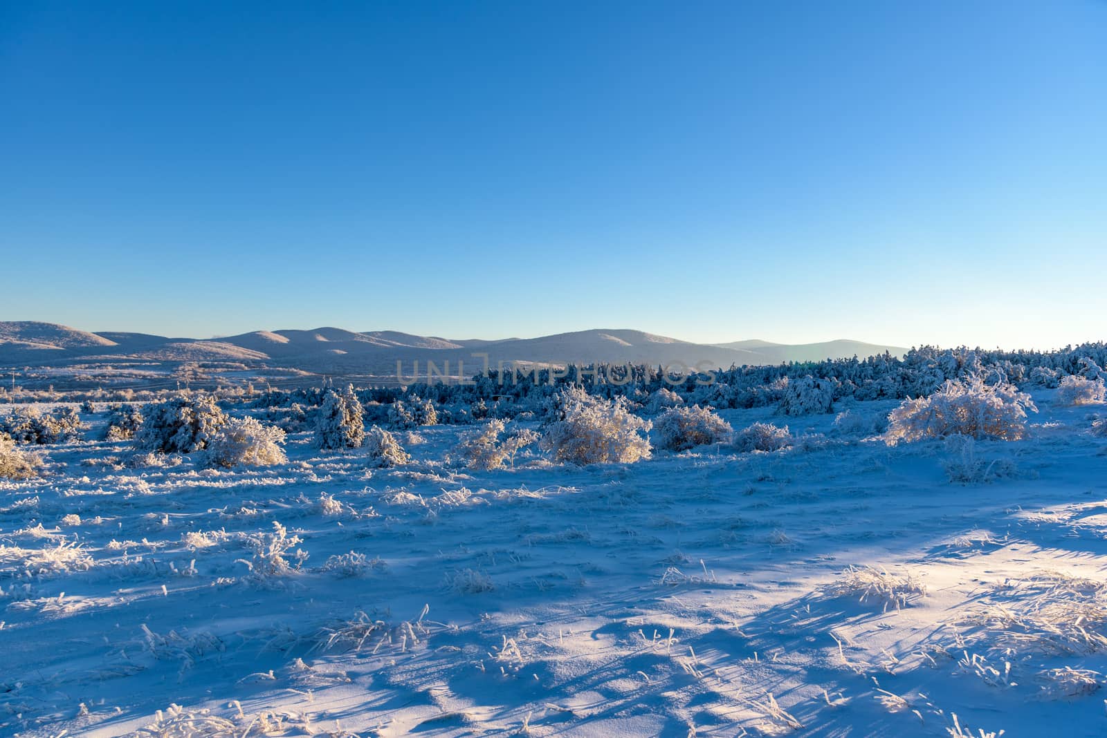 Beautiful nature in Russia, Stary Krym.