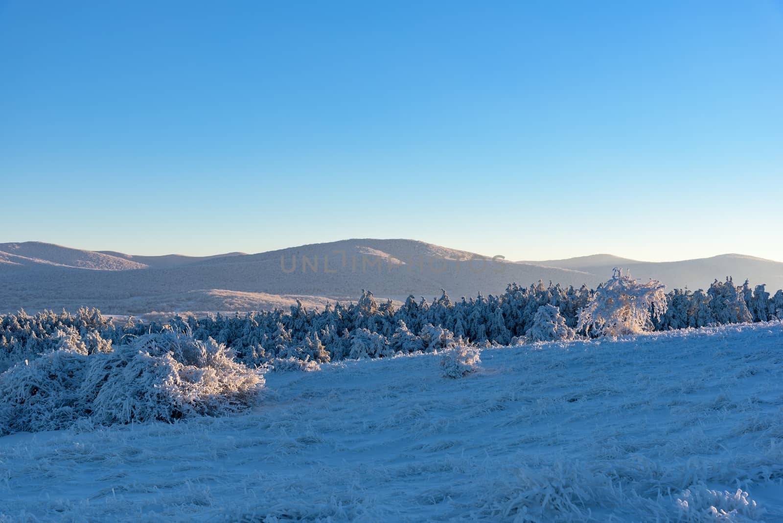 Beautiful nature in Russia, Stary Krym.