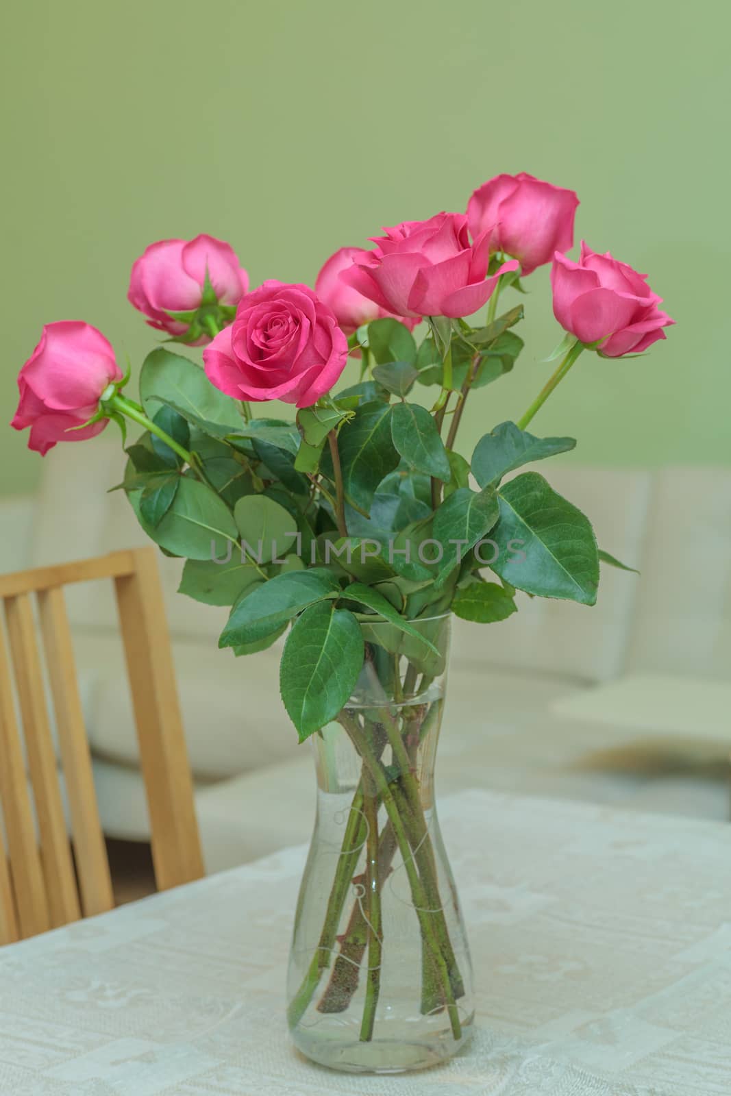Seven pink roses bouquet in vase standing on table