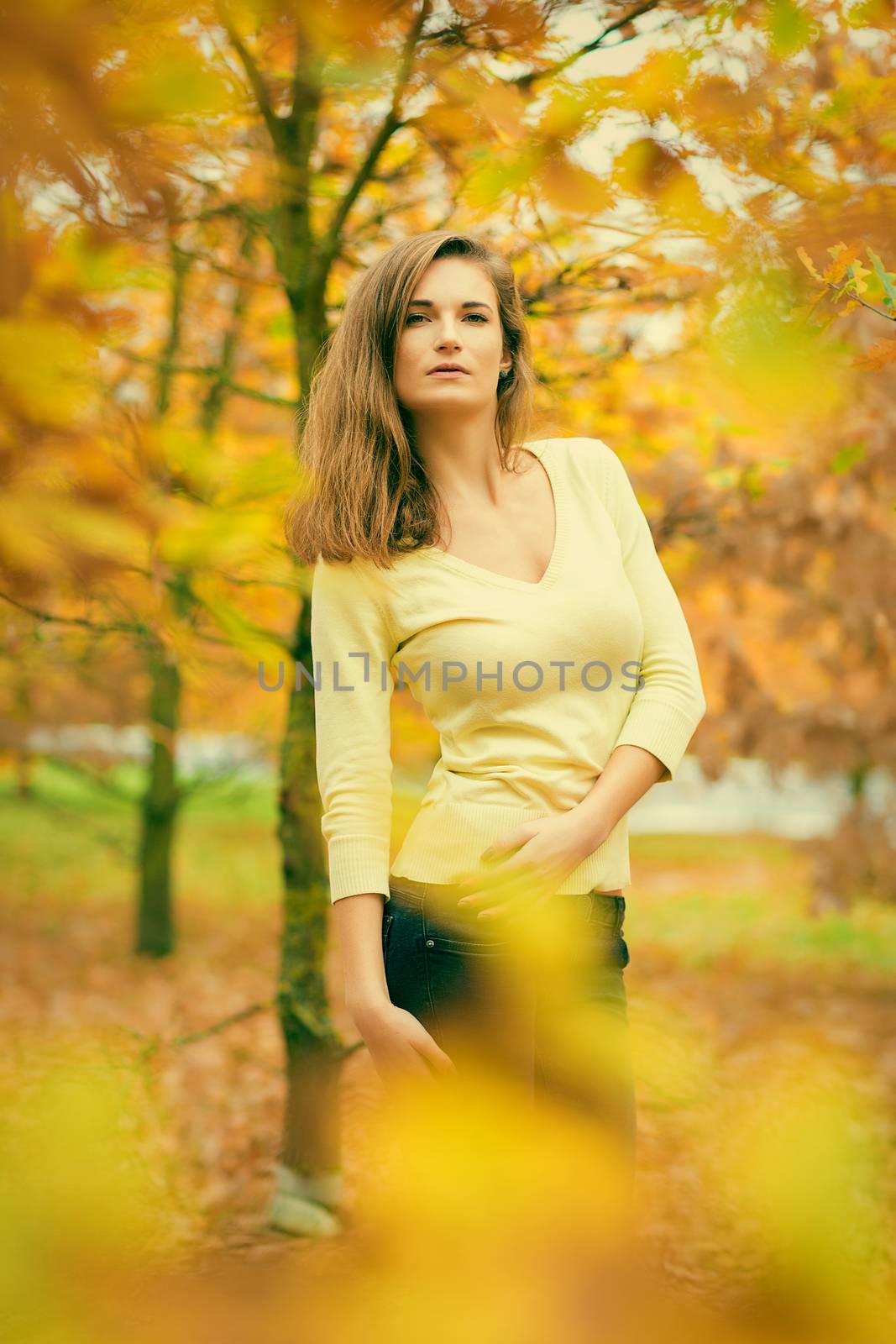attractive fashion girl pose in autumn colorful nature