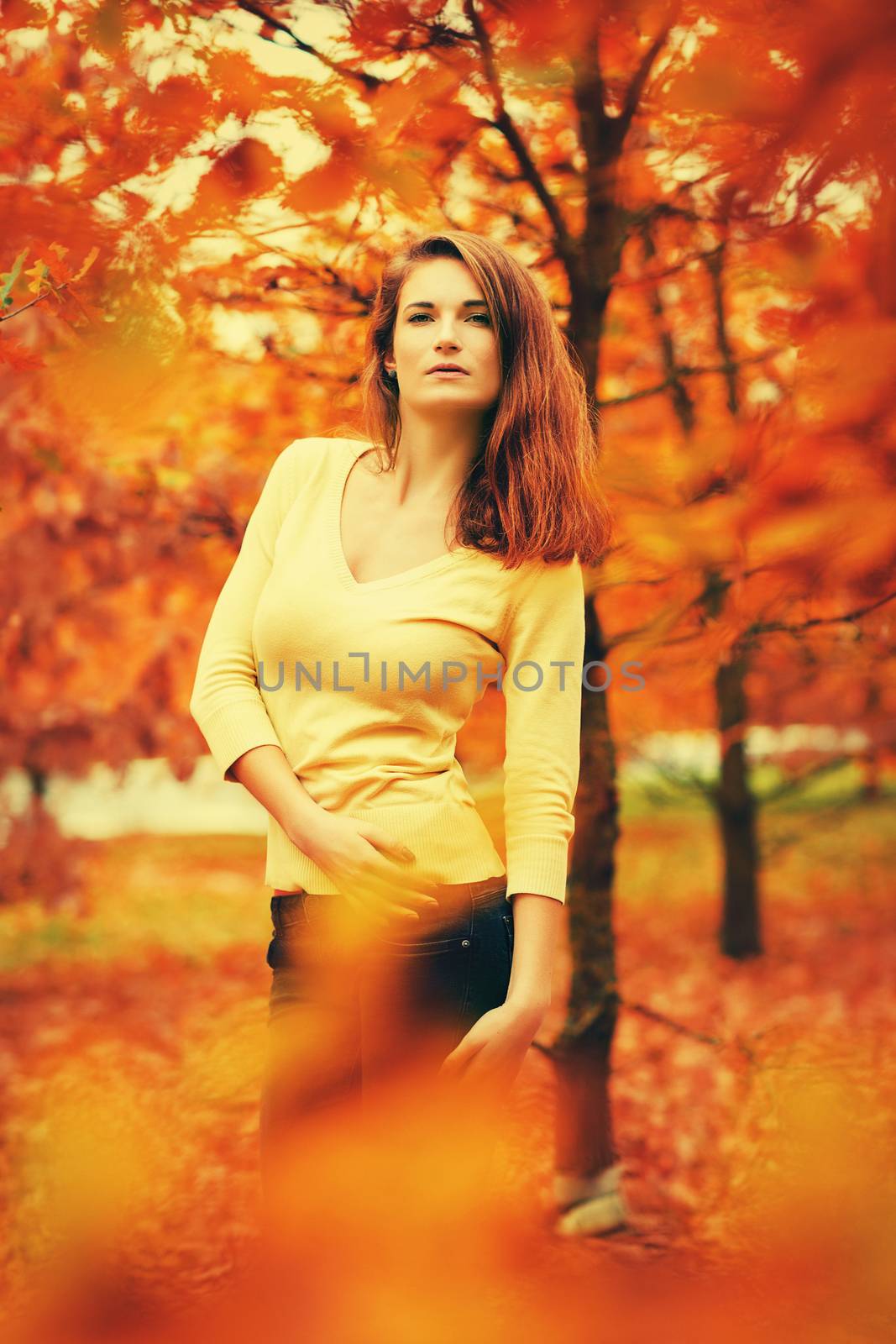 attractive fashion girl pose in autumn colorful nature
