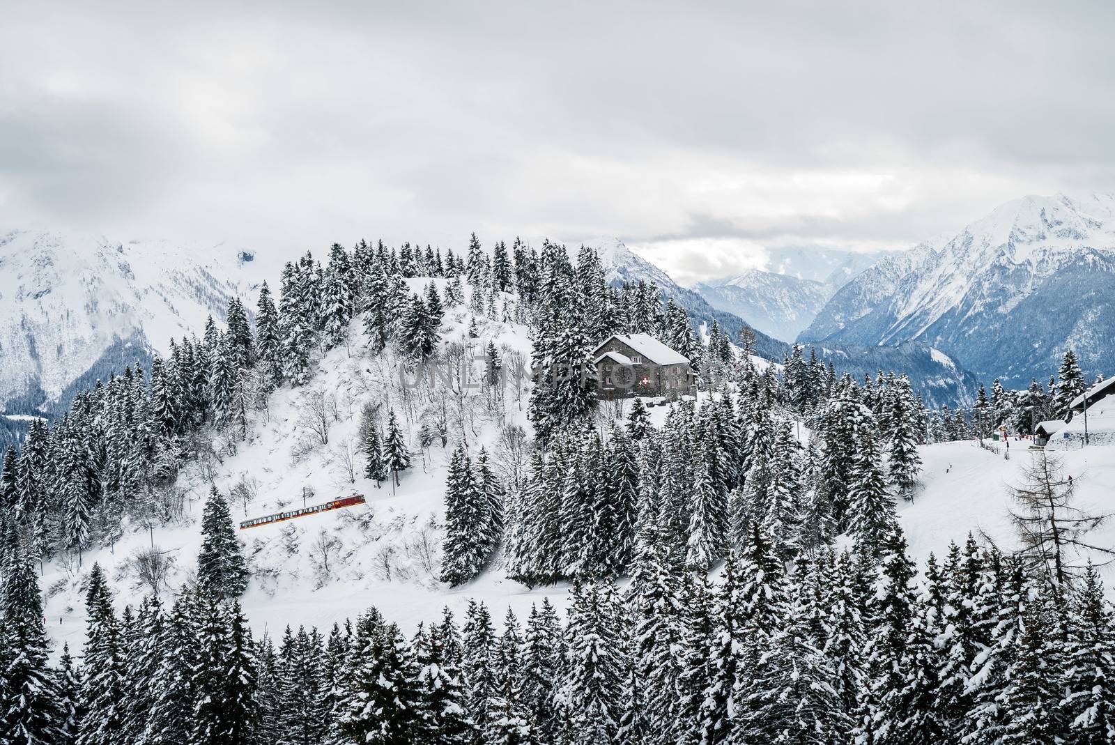 Red train climbing a mountain covered with snow in Villars-sur-ollon in Switzerland