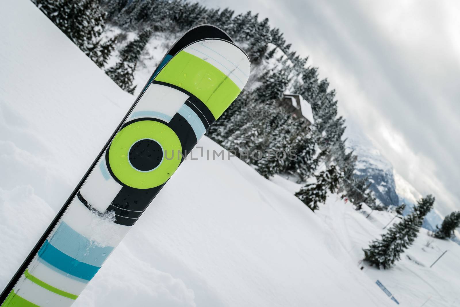 A pair of ski planted in the snow with a forest in the background