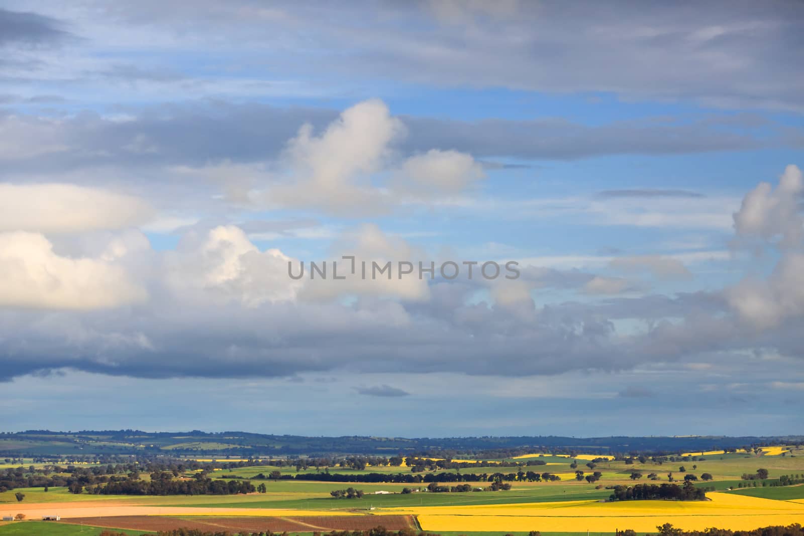 Spring skies over rural farms and crops of wheat and canola