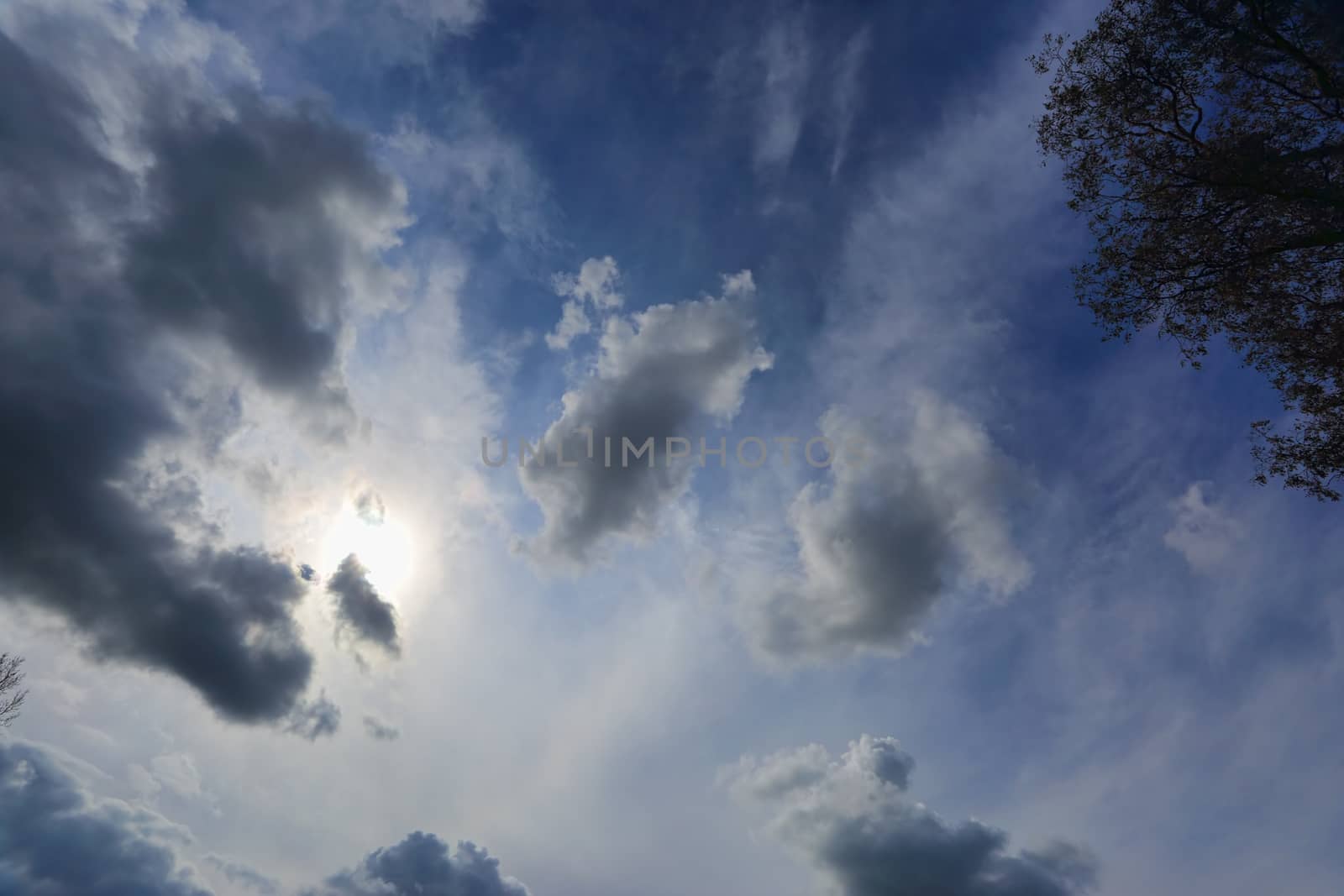 Looking up at the sky and the sun shining through light cloud overhead with other heavy dark grey clouds in the sky with Australian gum tree visible on right side