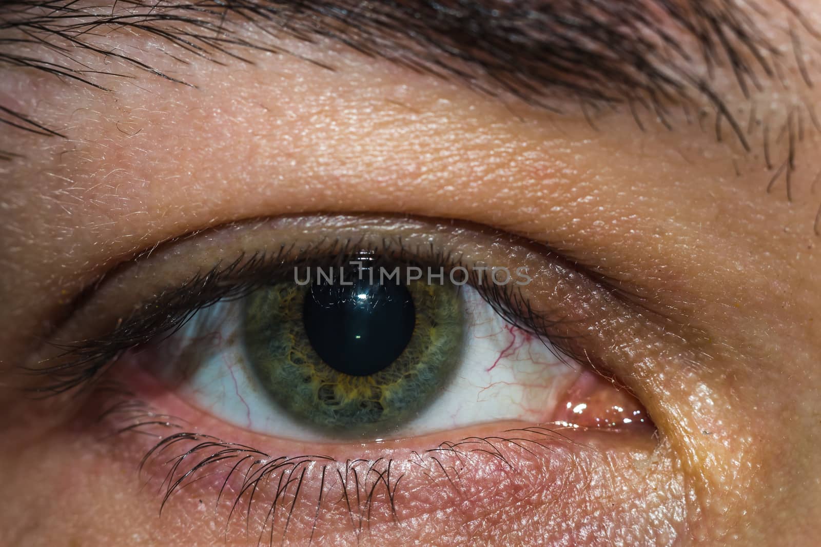 the man's eyes close-up macro photo of green eyes