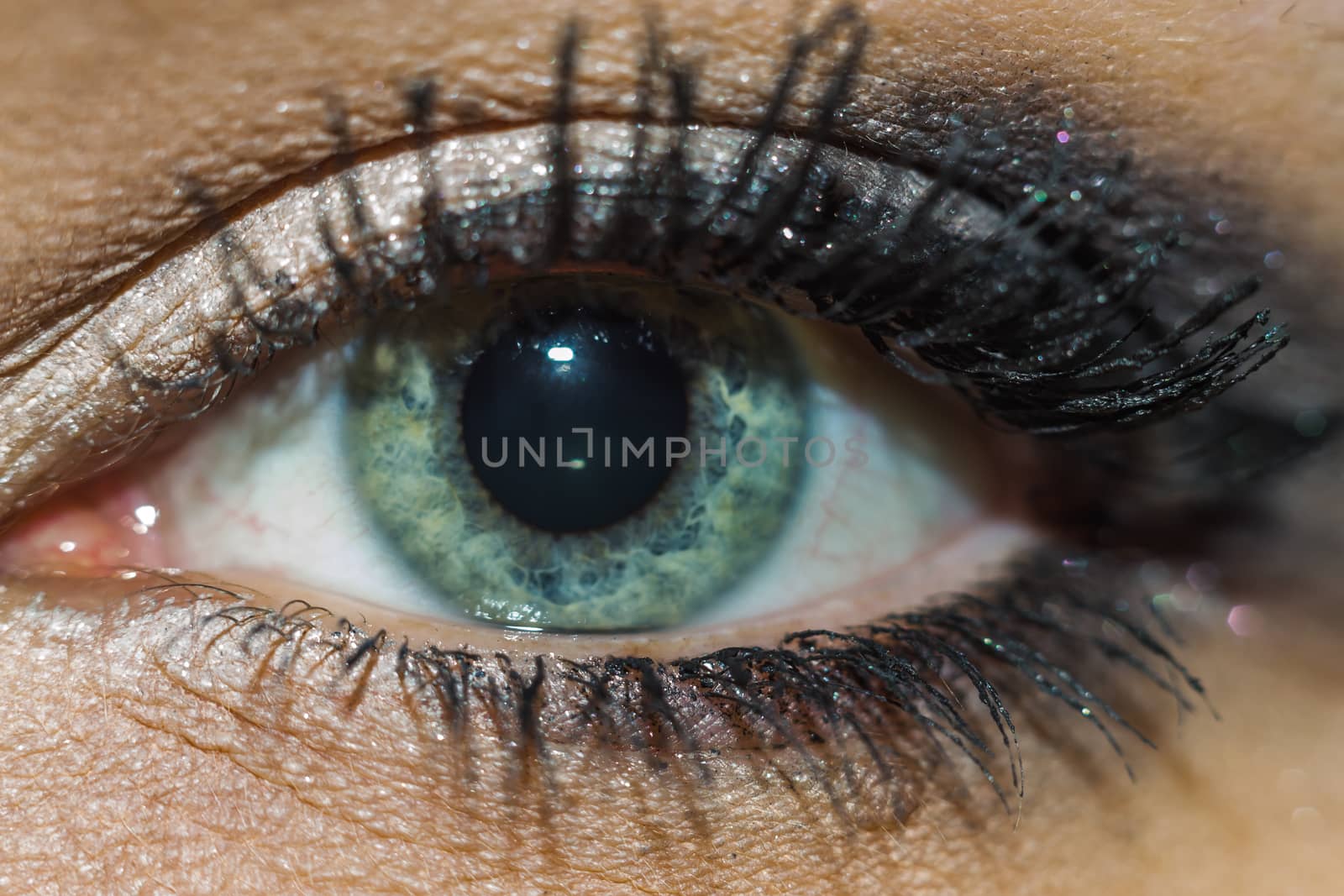 eye close-up makeup woman green eyes macro