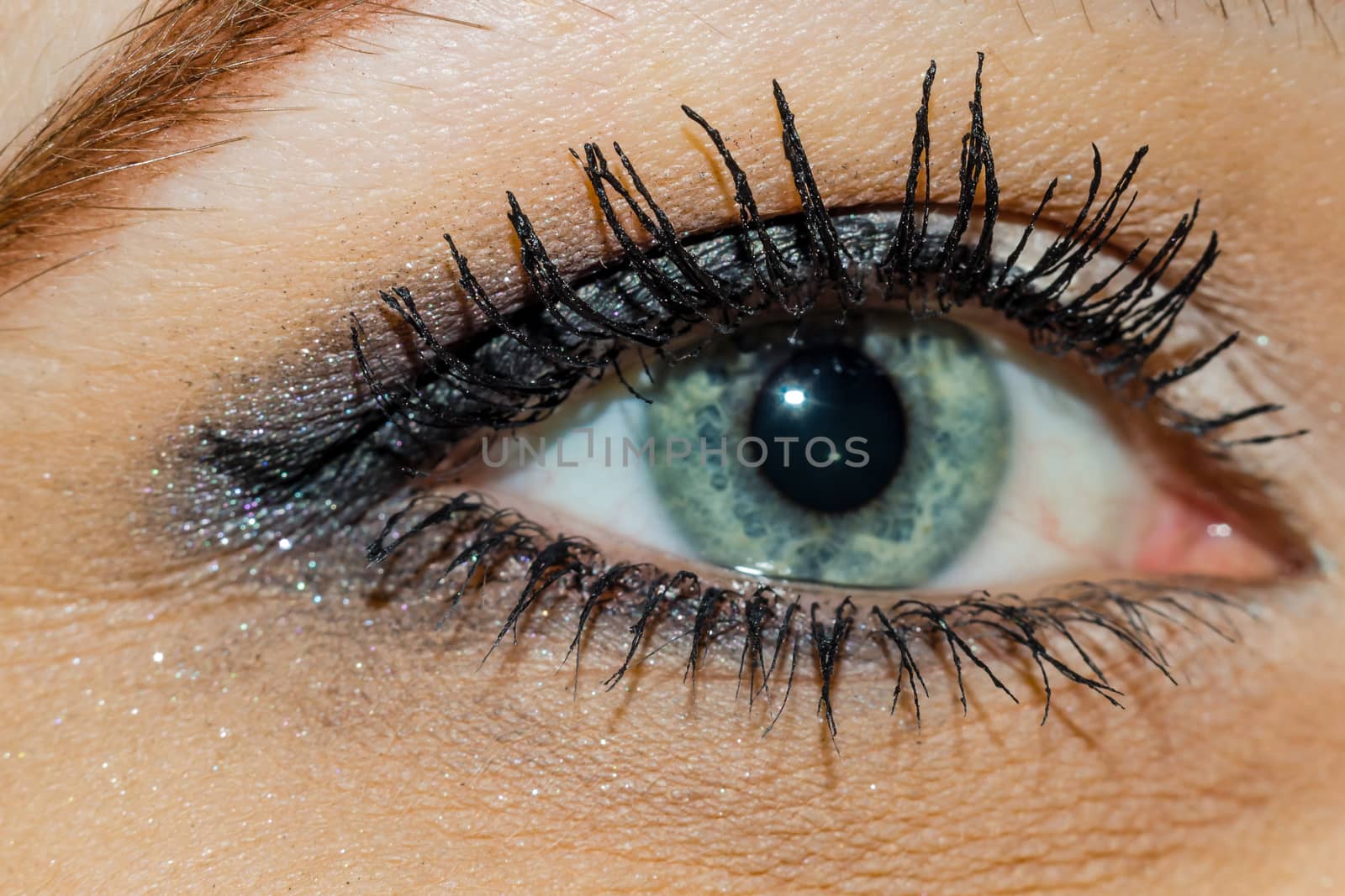 eye close-up makeup woman green eyes macro