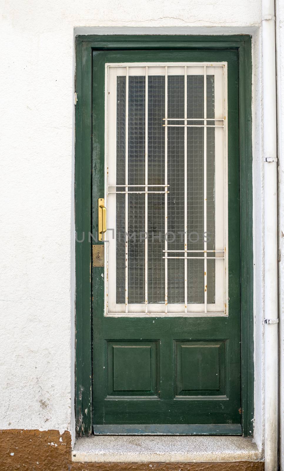 Green wooden door with glass. Back door to the house