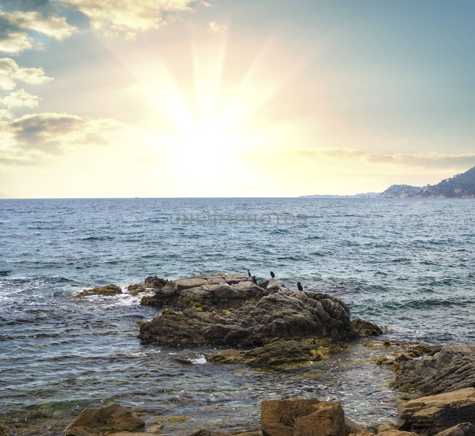 Beautiful seascape with sunrise by cherezoff