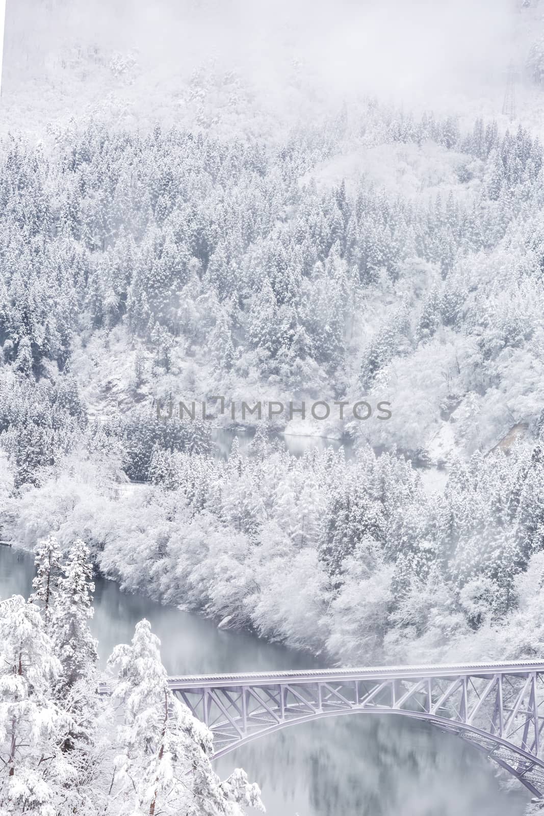 Winter landscape snow covered trees with train crossin River on Bridge