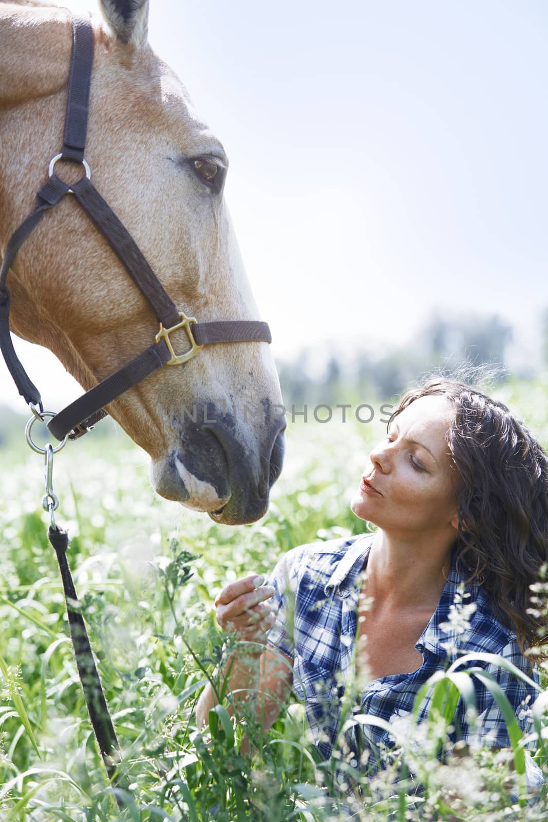 Woman and horse together at paddock by Novic