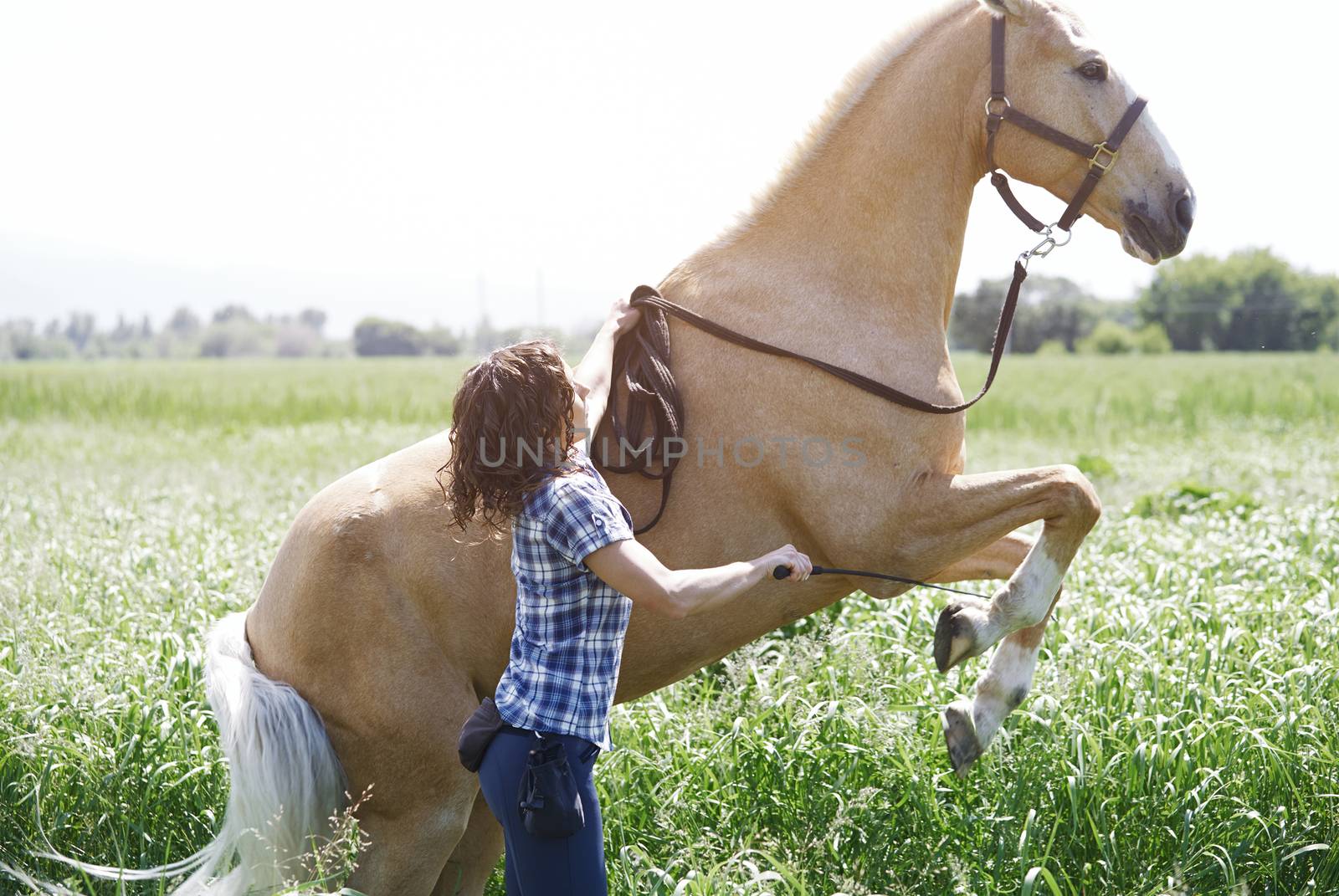 Woman training horse to rear up by Novic