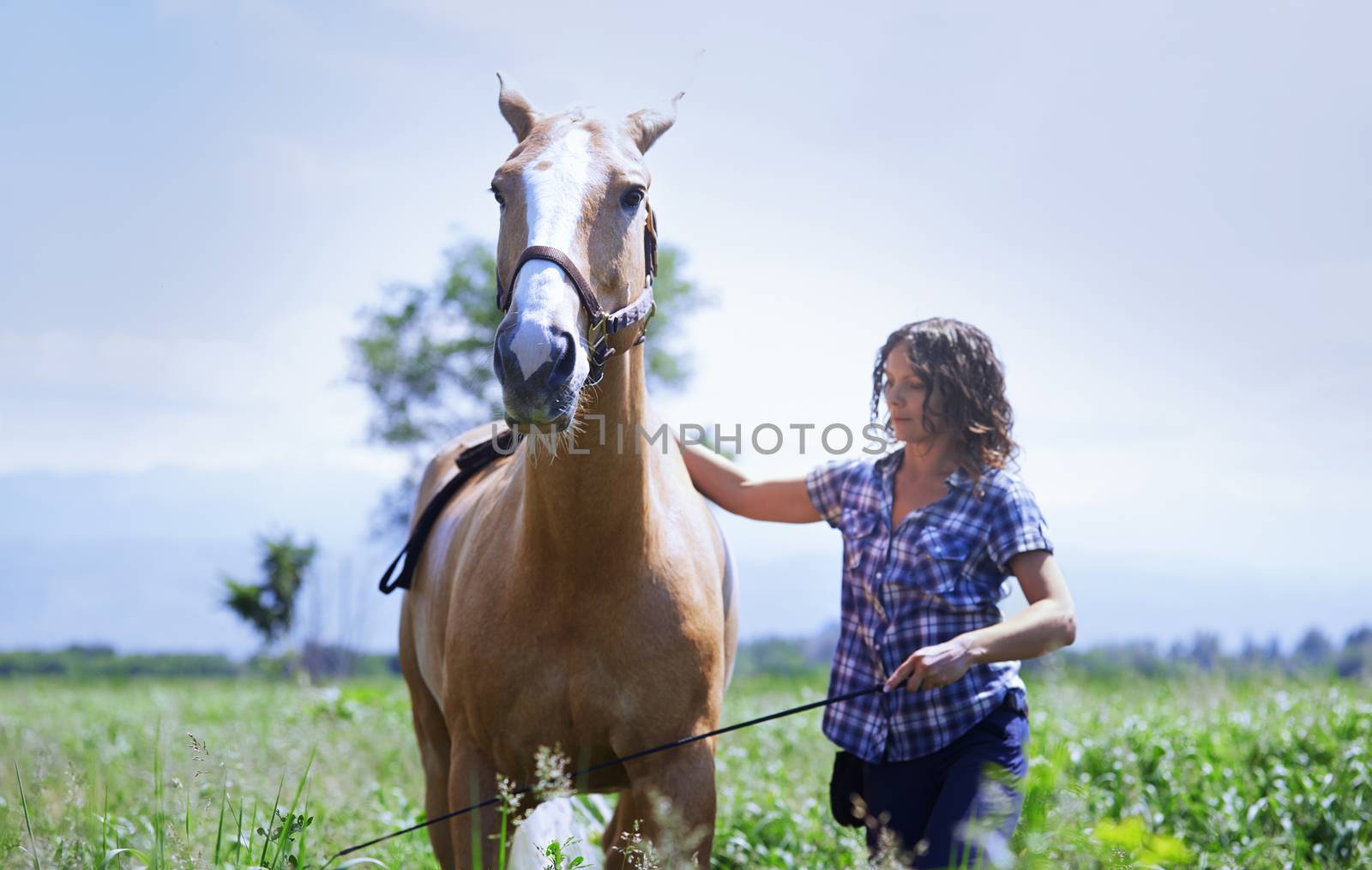 Woman training her horse at paddock