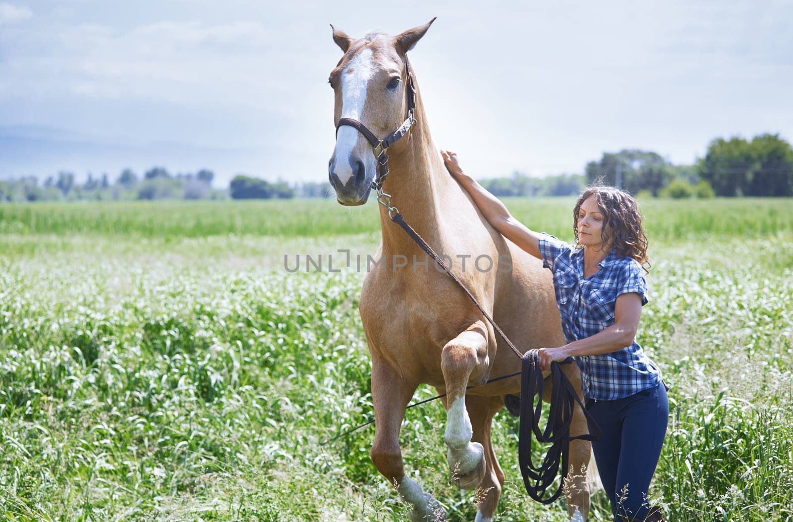 Woman training her horse at paddock