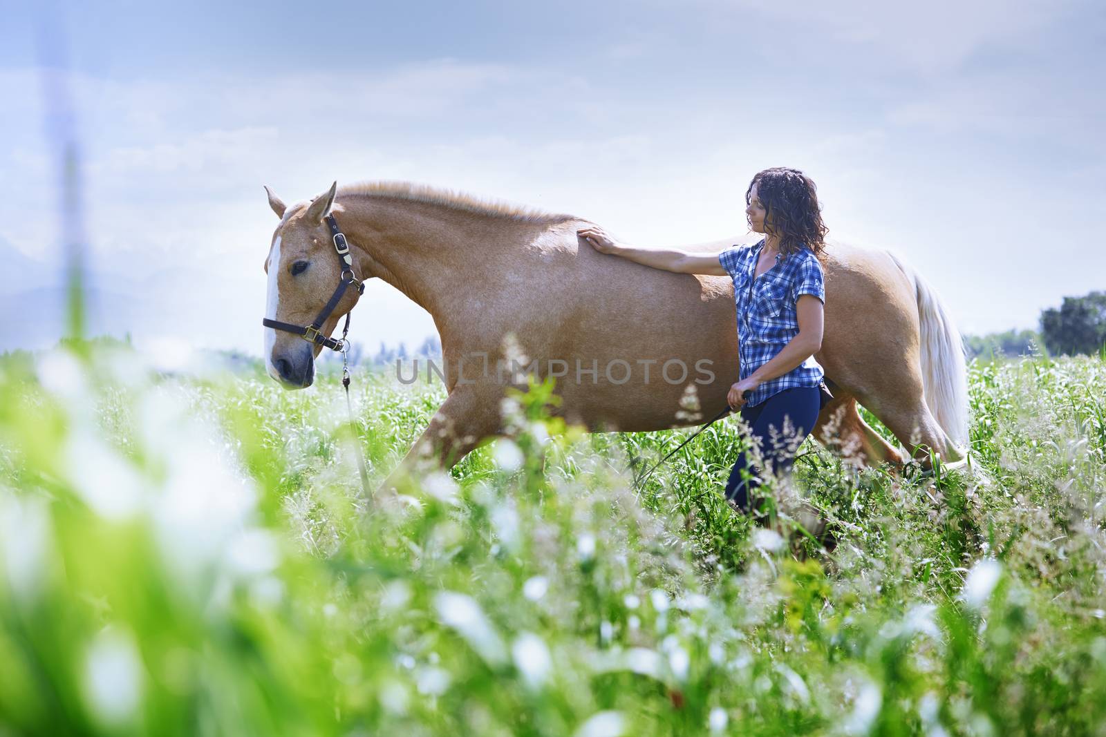 Woman training her horse at paddock