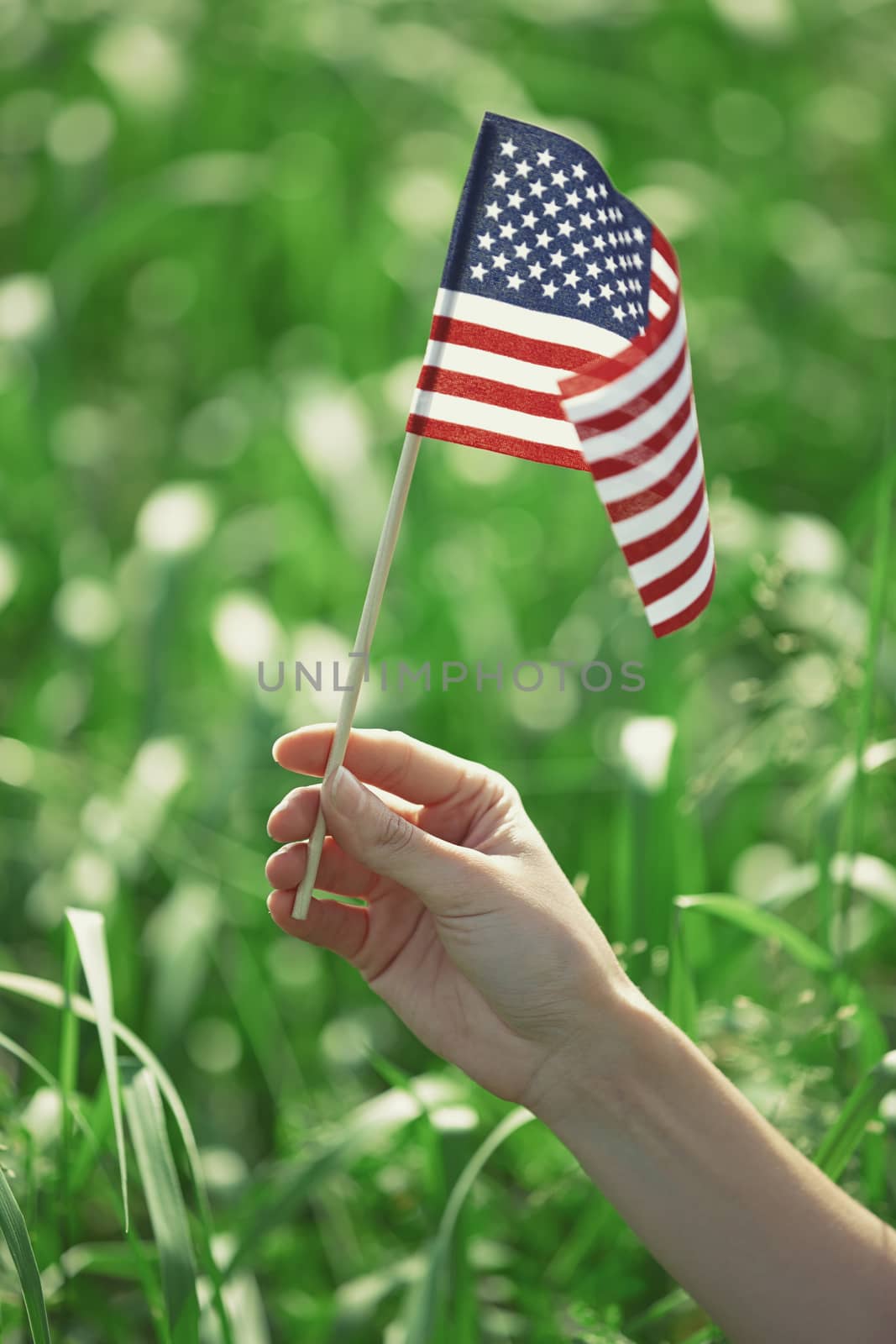 Hand holding US flag for Independence Day by Novic