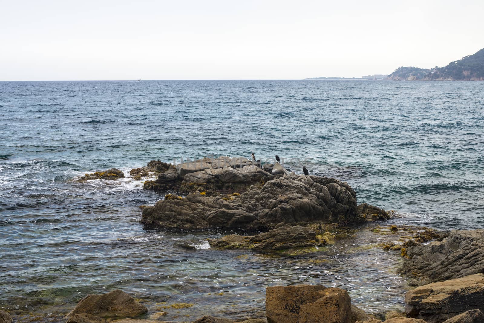 Beautiful seascape with rocks by cherezoff