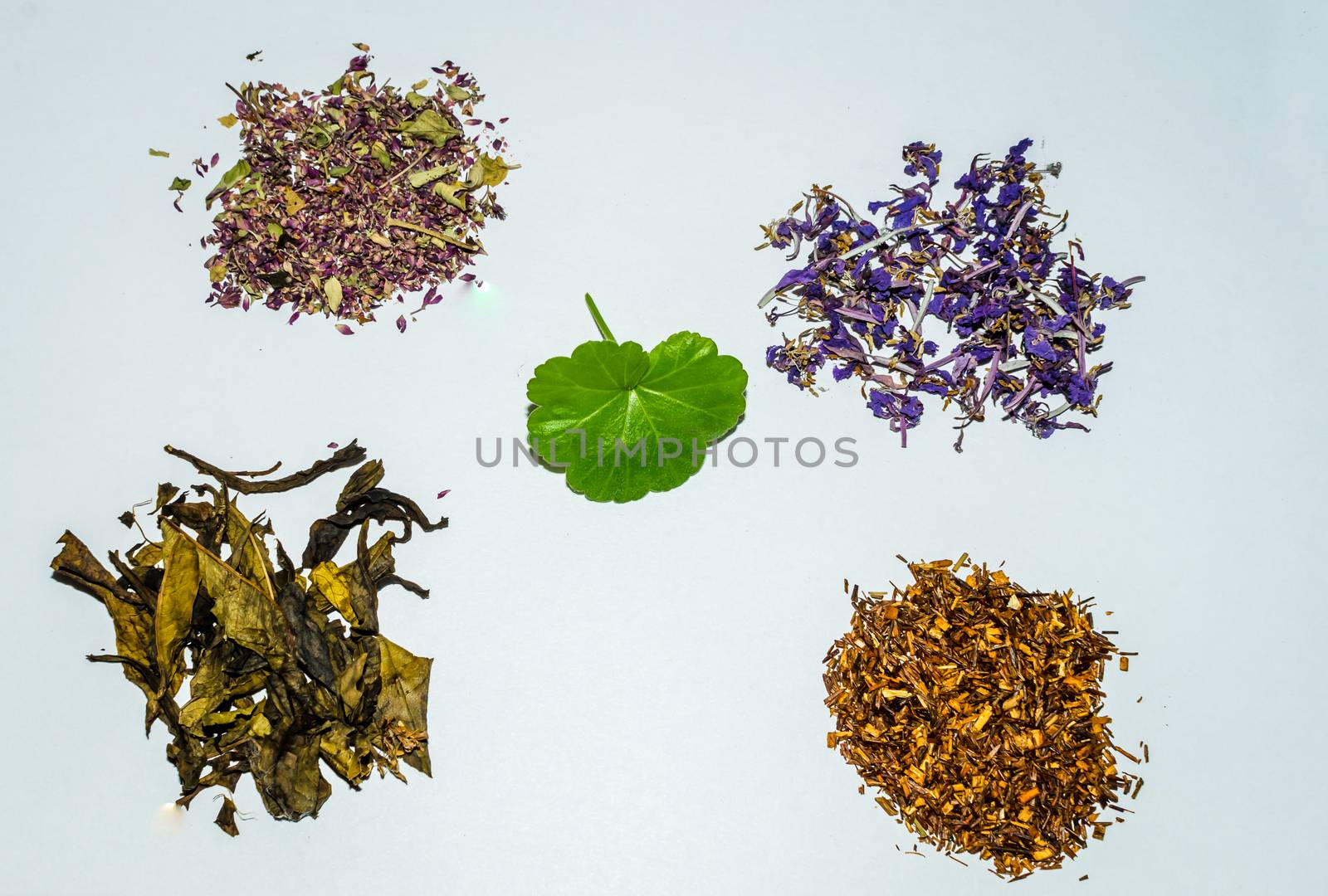 herbal tea on white background health procurement tea