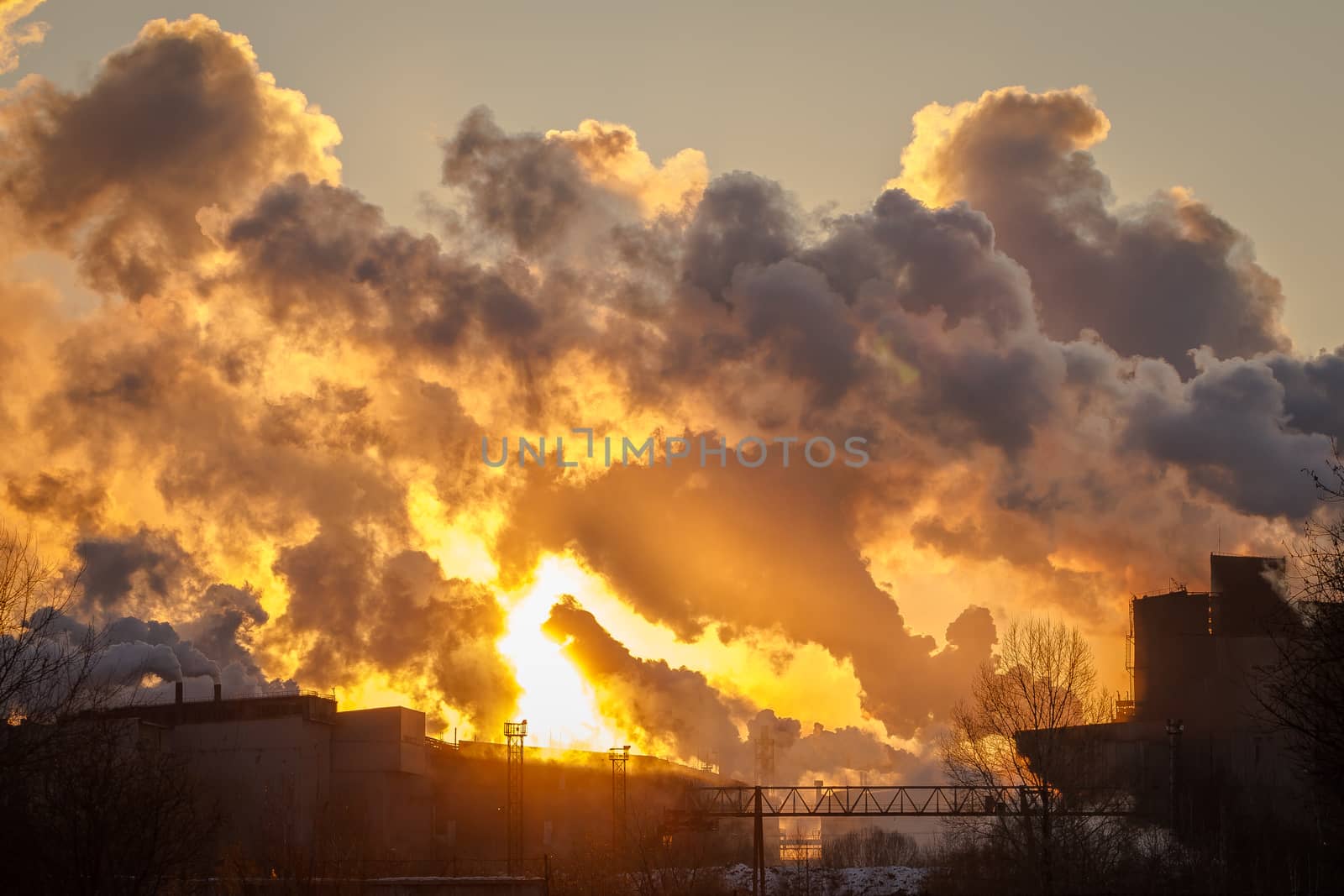 the plant with smoke and dirty air-pollution by olgagordeeva