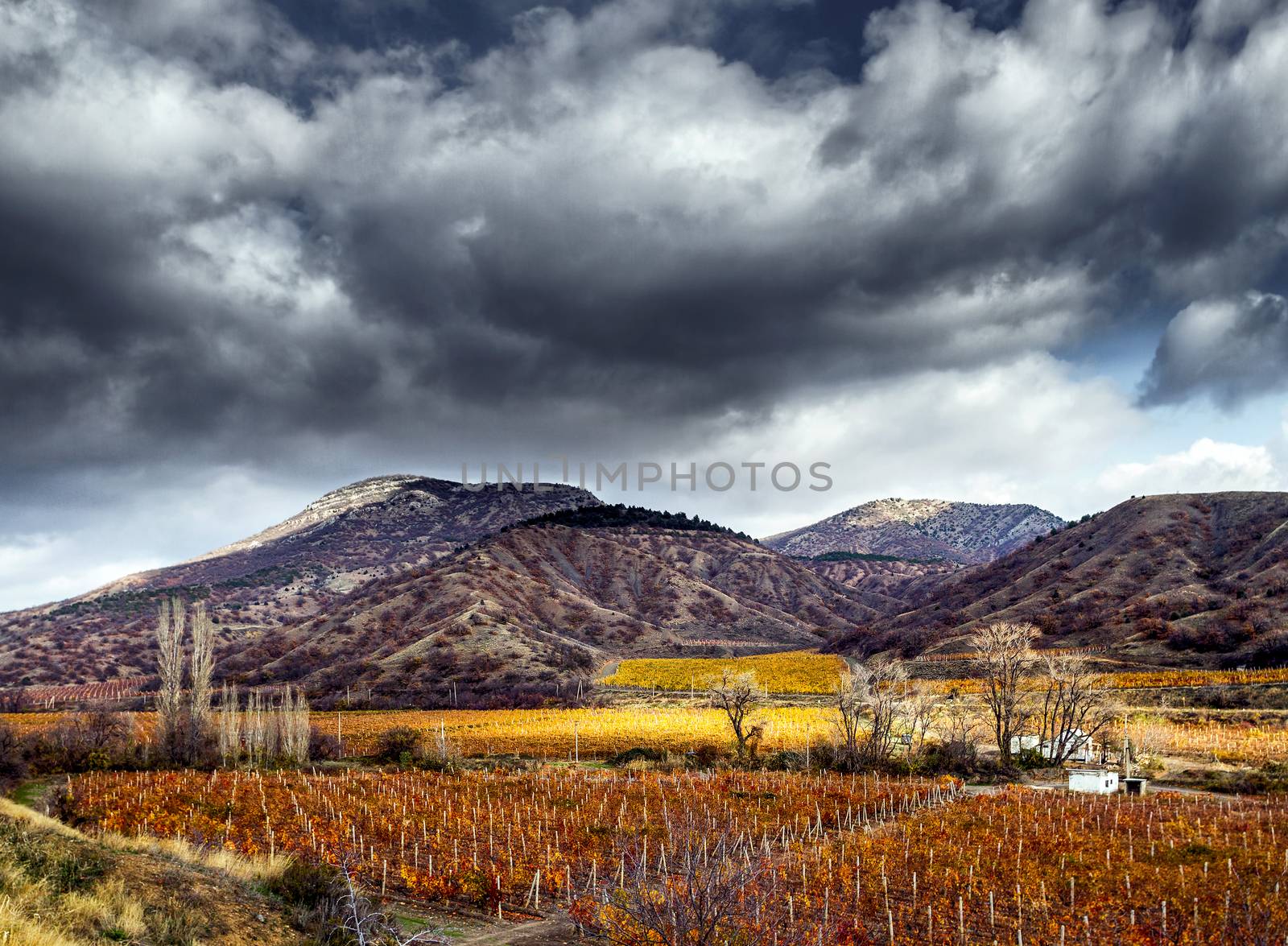 Vineyards. Autumn valley against the background of mountains and sky. HDR