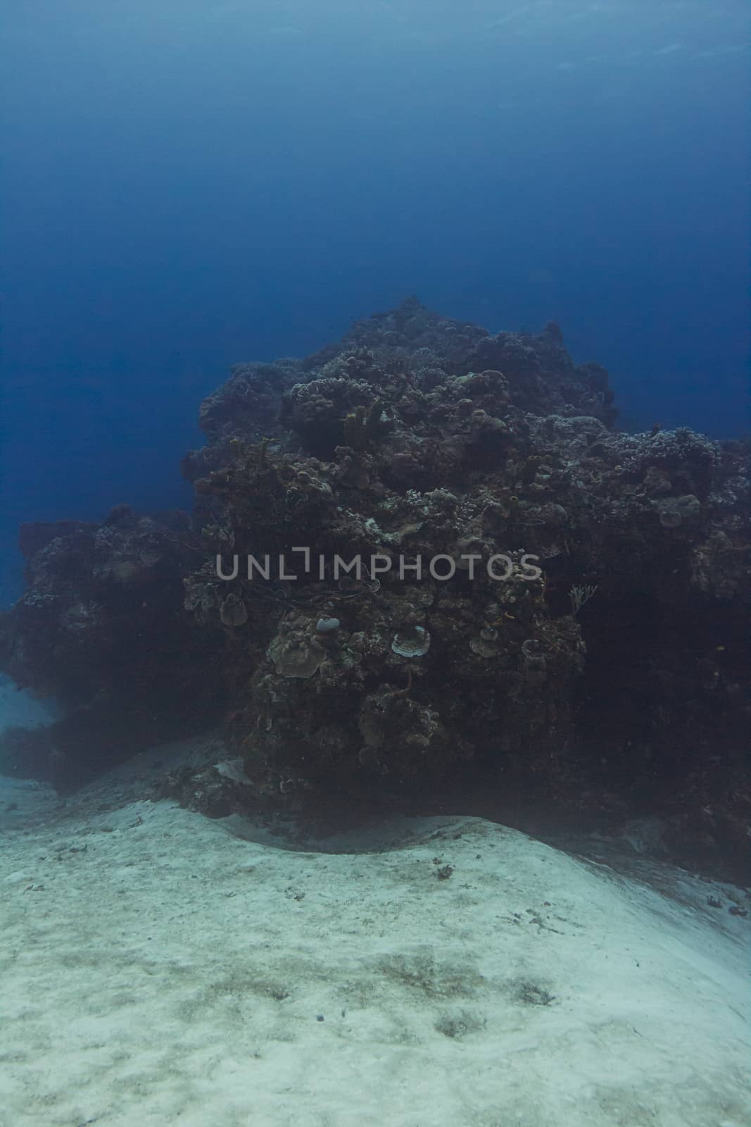 large outcrop of coral deep underwater