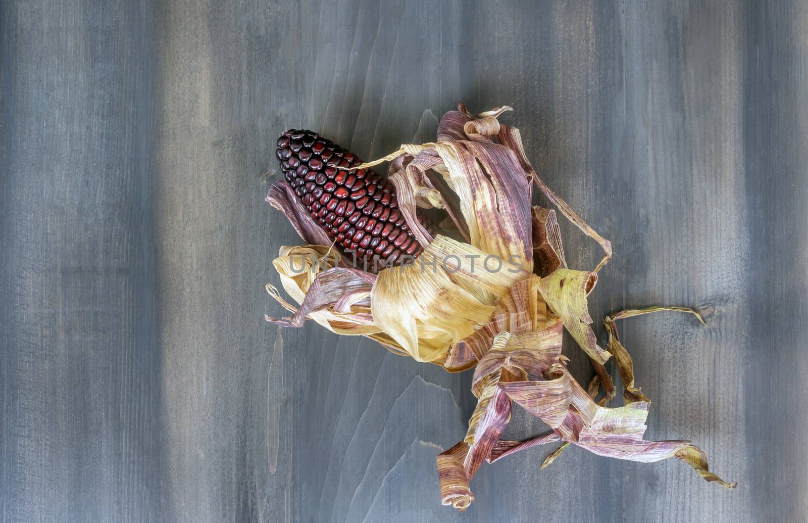 fresh organic purple corn cob with  leaves on a wooden background