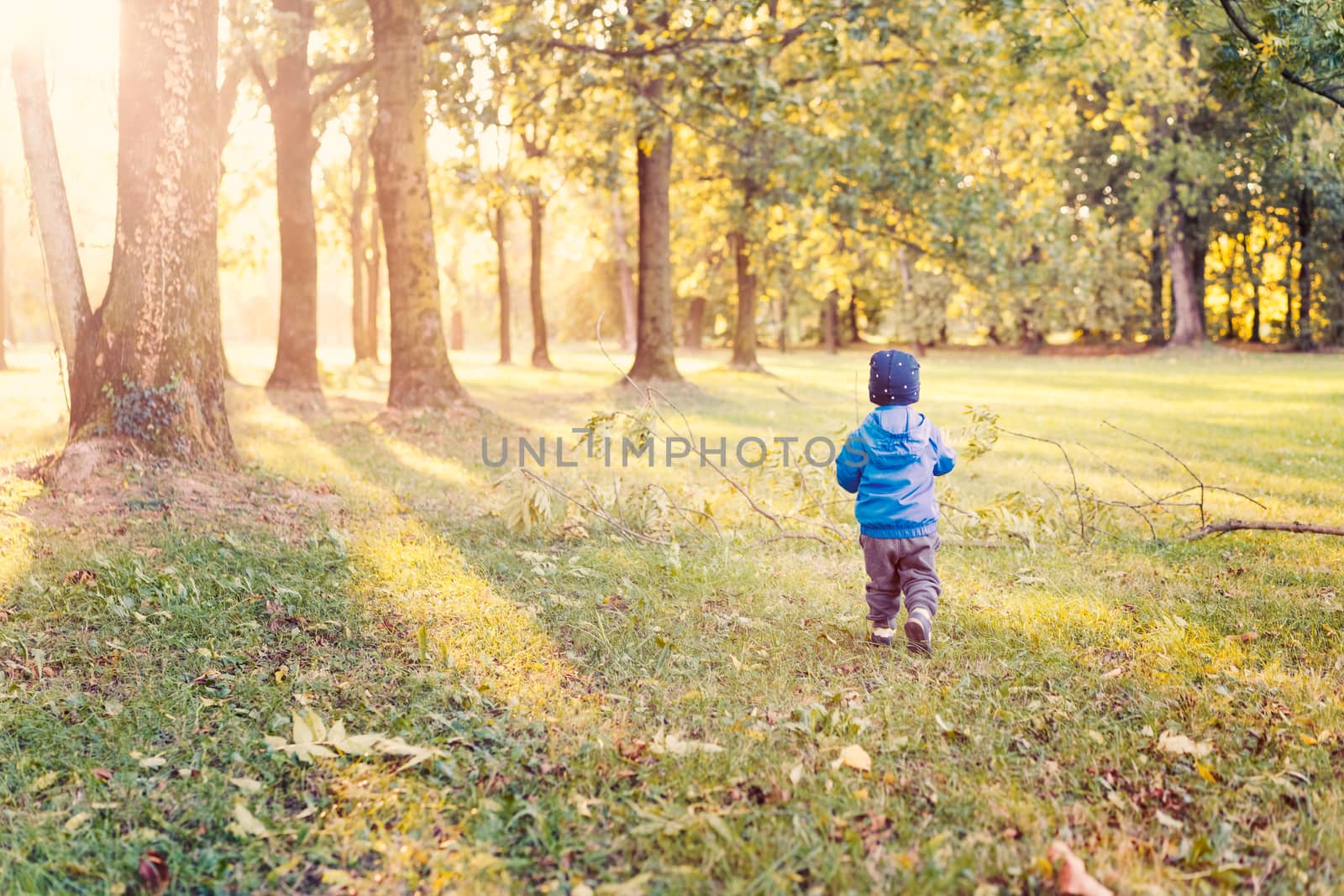 Baby boy walk at sunset,infant boy in the park evening light, used split toning.